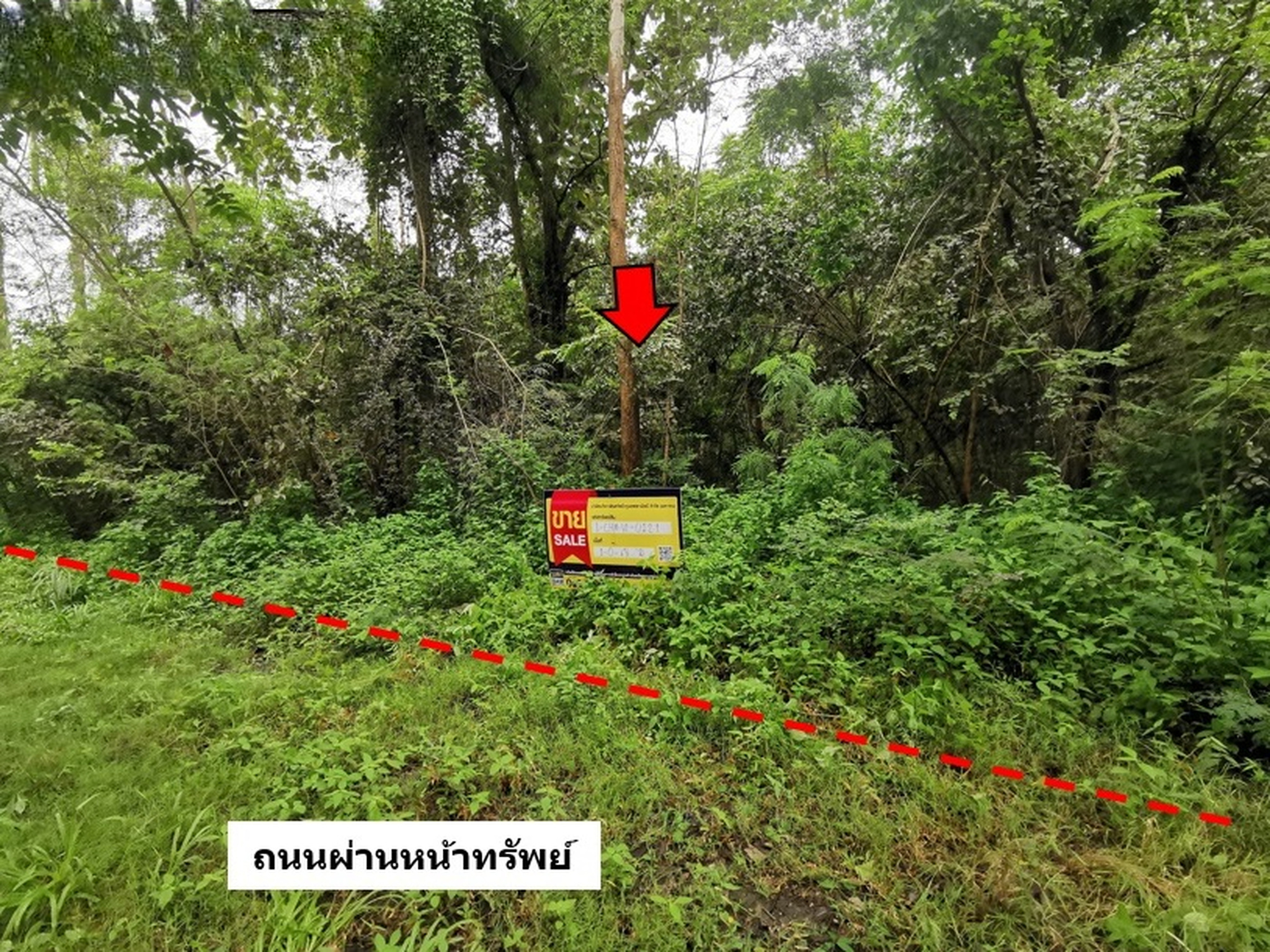 ทรัพย์สถาบันโดย BAM ที่ดิน อินทนนท์ไฮแลนด์