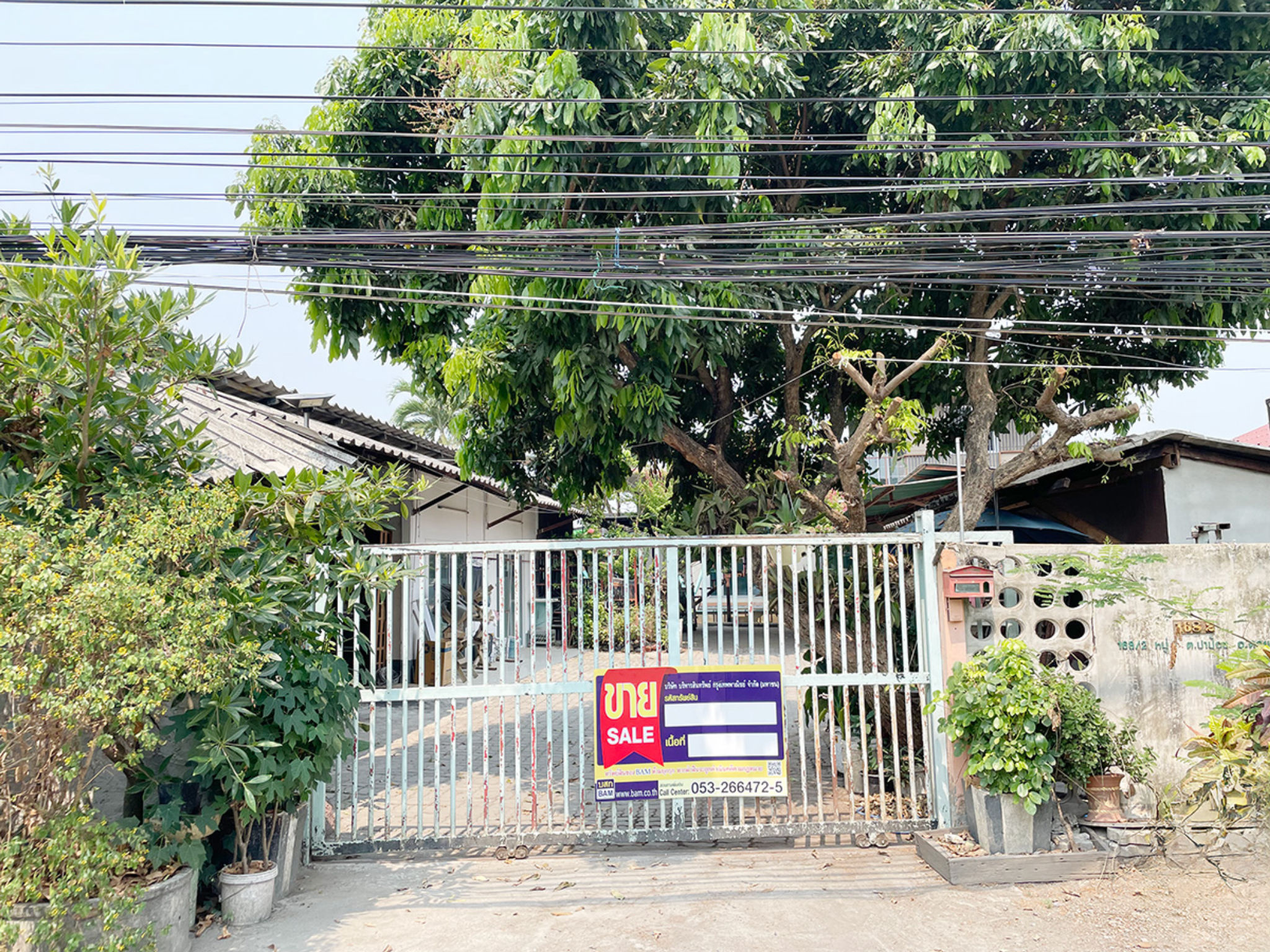 ทรัพย์สถาบันโดย BAM บ้านเดี่ยว บ้านป่าไม้แดง