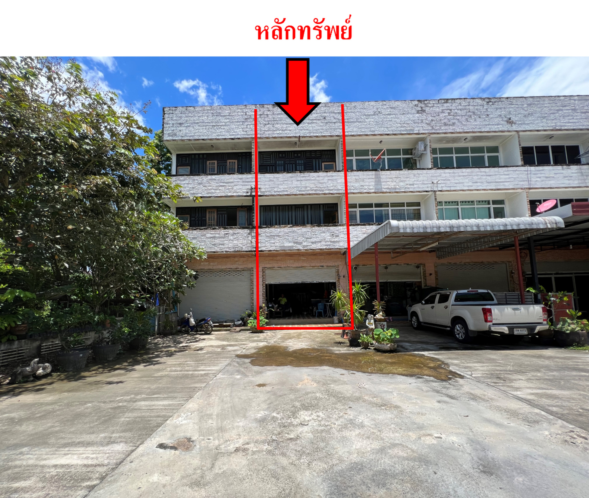 ทรัพย์สถาบันโดย BAM โฮมออฟฟิศ อาคารพาณิชย์ โครงการบิ๊กเลิฟ