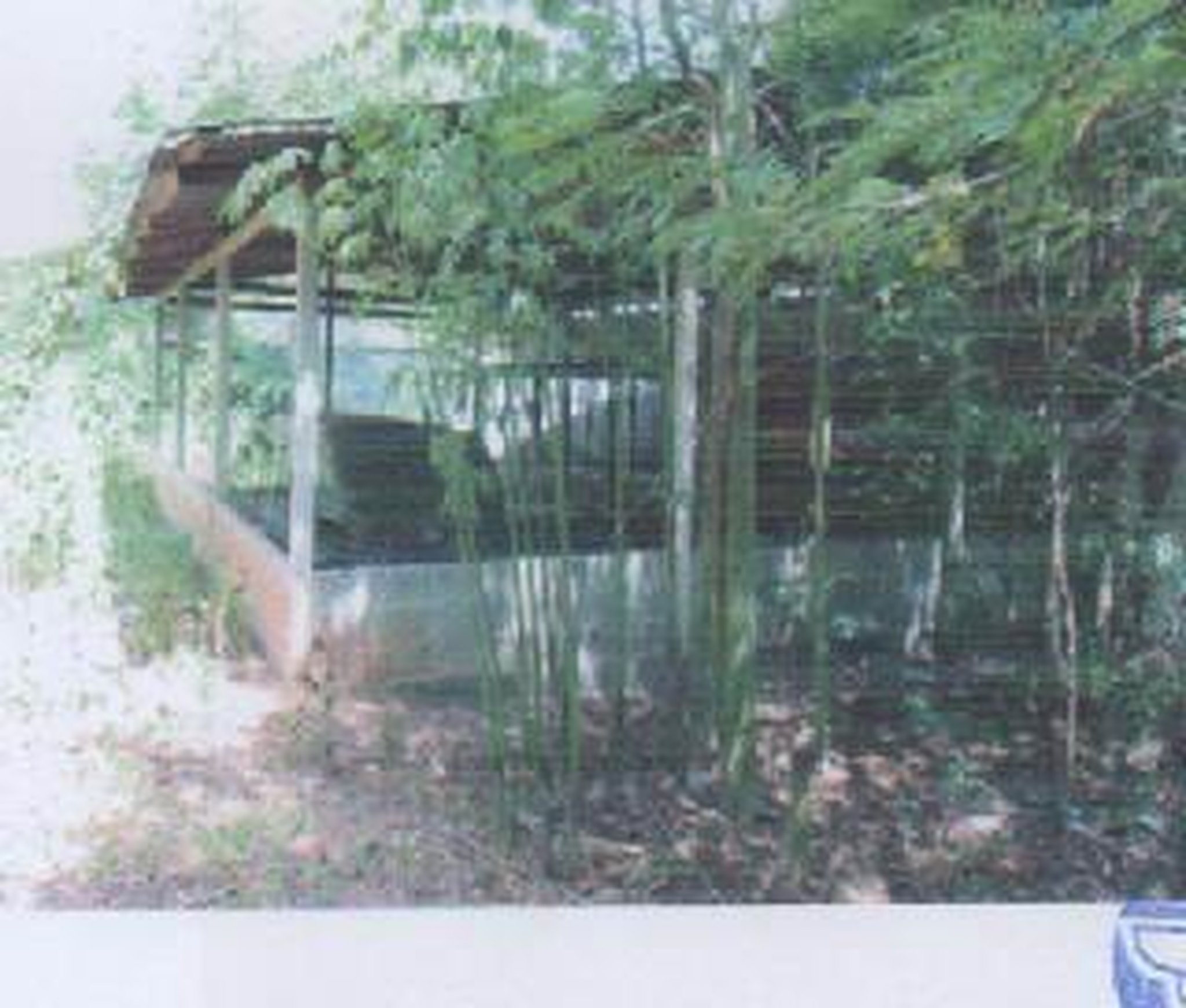 ทรัพย์สถาบันโดย GHB บ้านเดี่ยว คอนสาย