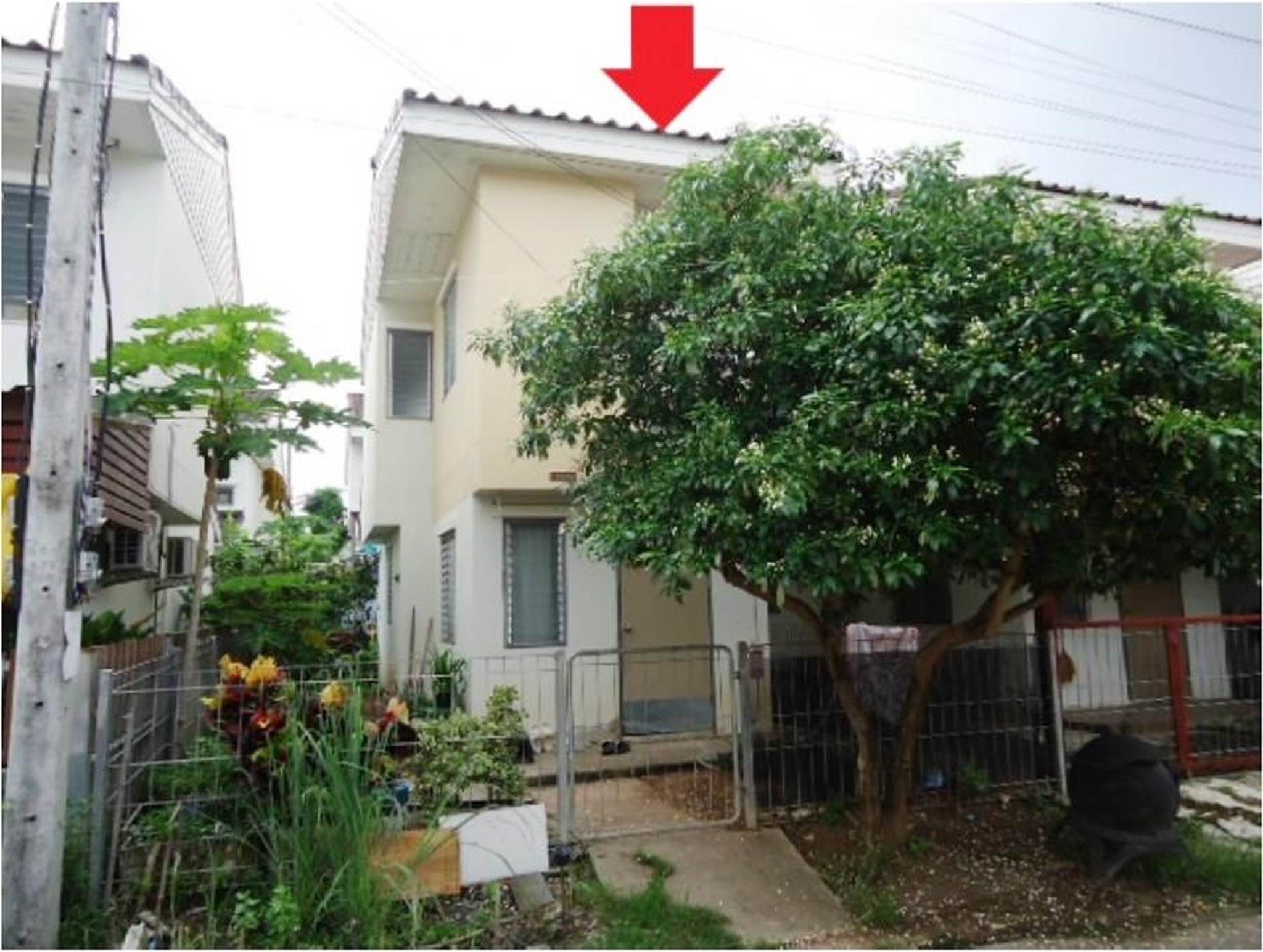 ทรัพย์สถาบันโดย GHB บ้านเดี่ยว เอื้ออาทร