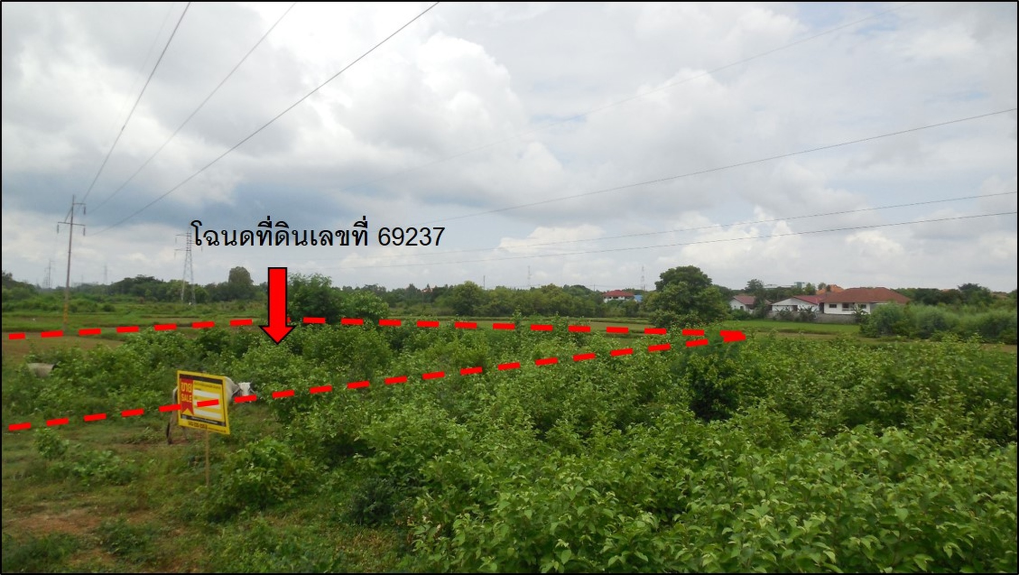 💟 ที่ดินเปล่า มหาสารคาม 💟