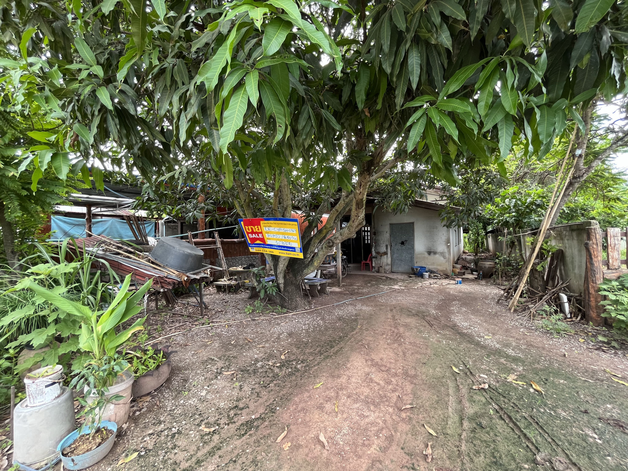 💟 บ้านเดี่ยว ภูเขียว ชัยภูมิ  💟