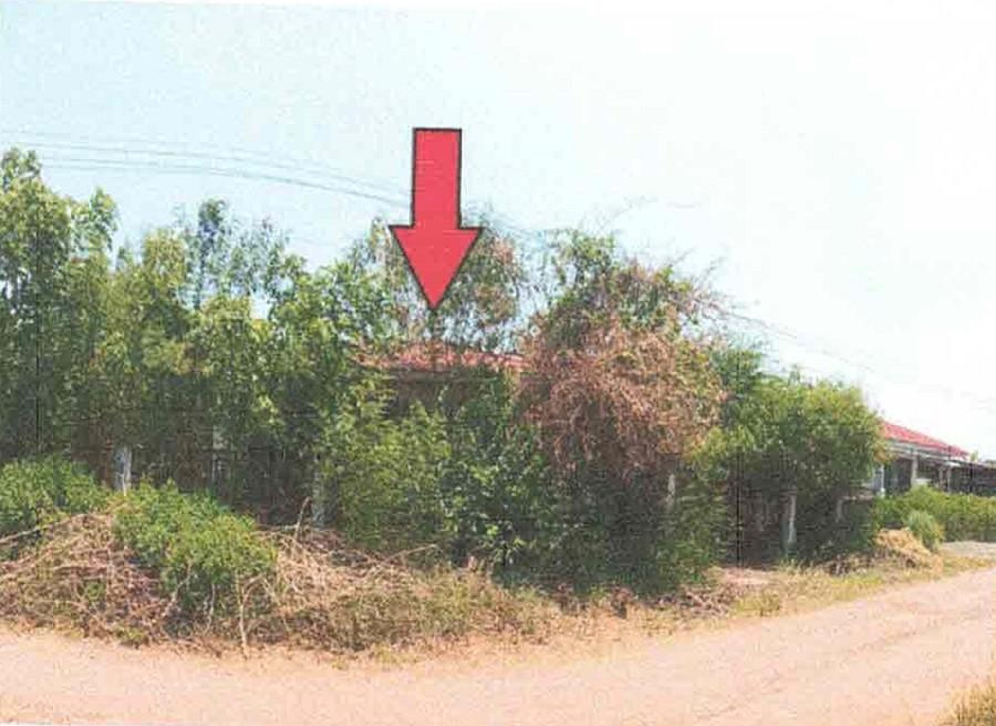 ทรัพย์สถาบันโดย GHB บ้านเดี่ยว รัญจวนแลนด์