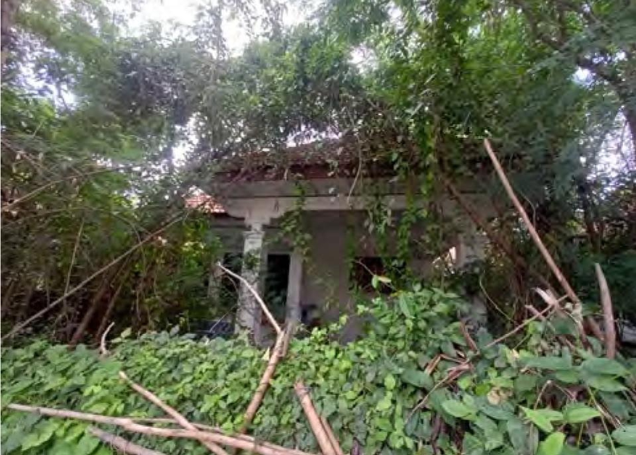 ทรัพย์สถาบันโดย GHB บ้านเดี่ยว พรรณธิกา 3