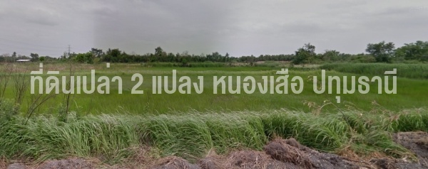 ที่ดินเปล่า หนองเสือ ปทุมธานี 2 แปลง 245+243 ตร.วา แปลงละ 500,000 เท่านั้น!! : โดยนายหน้า/ตัวแทน