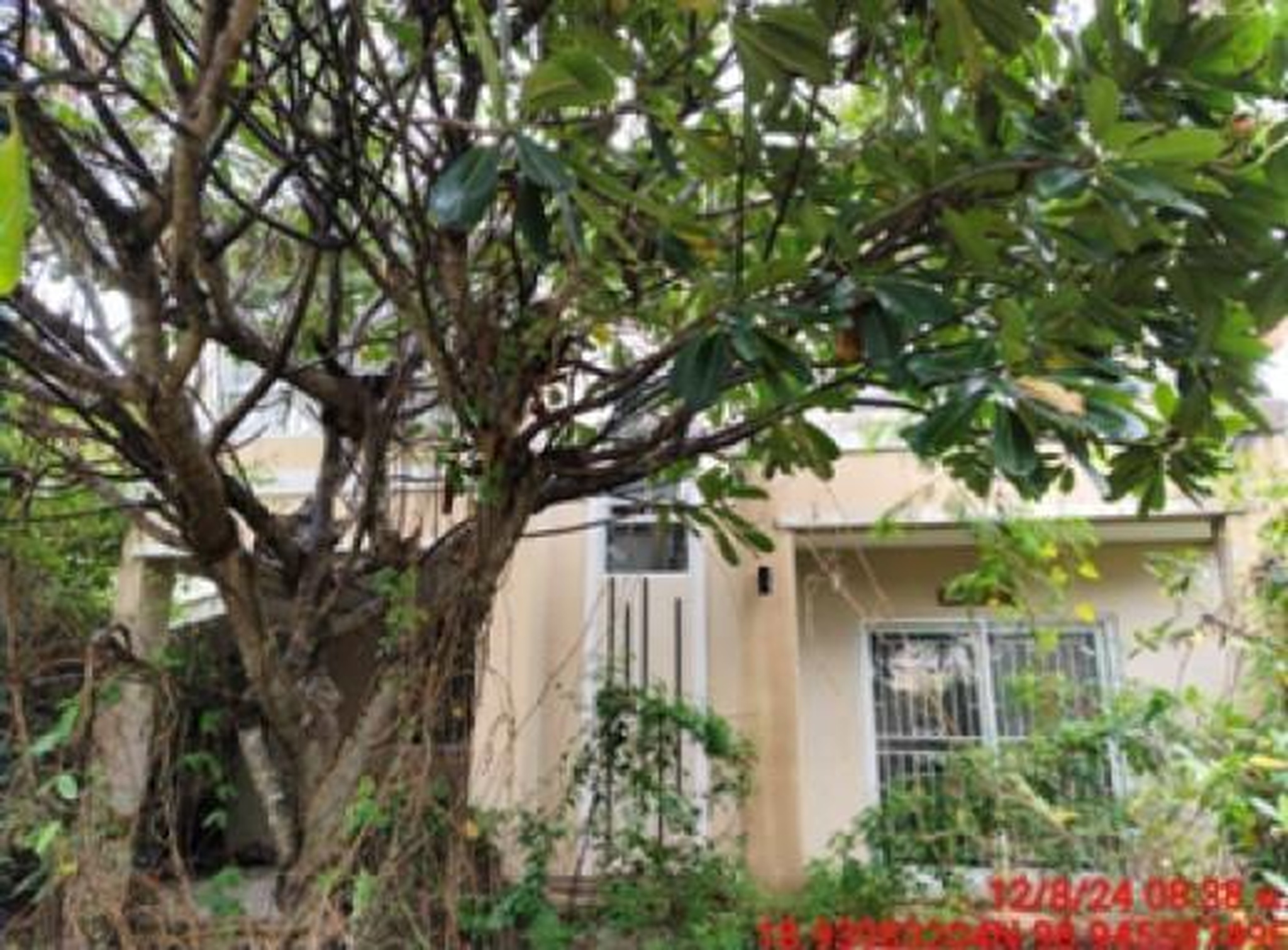 ทรัพย์สถาบันโดย GHB บ้านเดี่ยว กาญจน์กนกวิลล์ 12 (Karnkanok Ville 12 San Pong)
