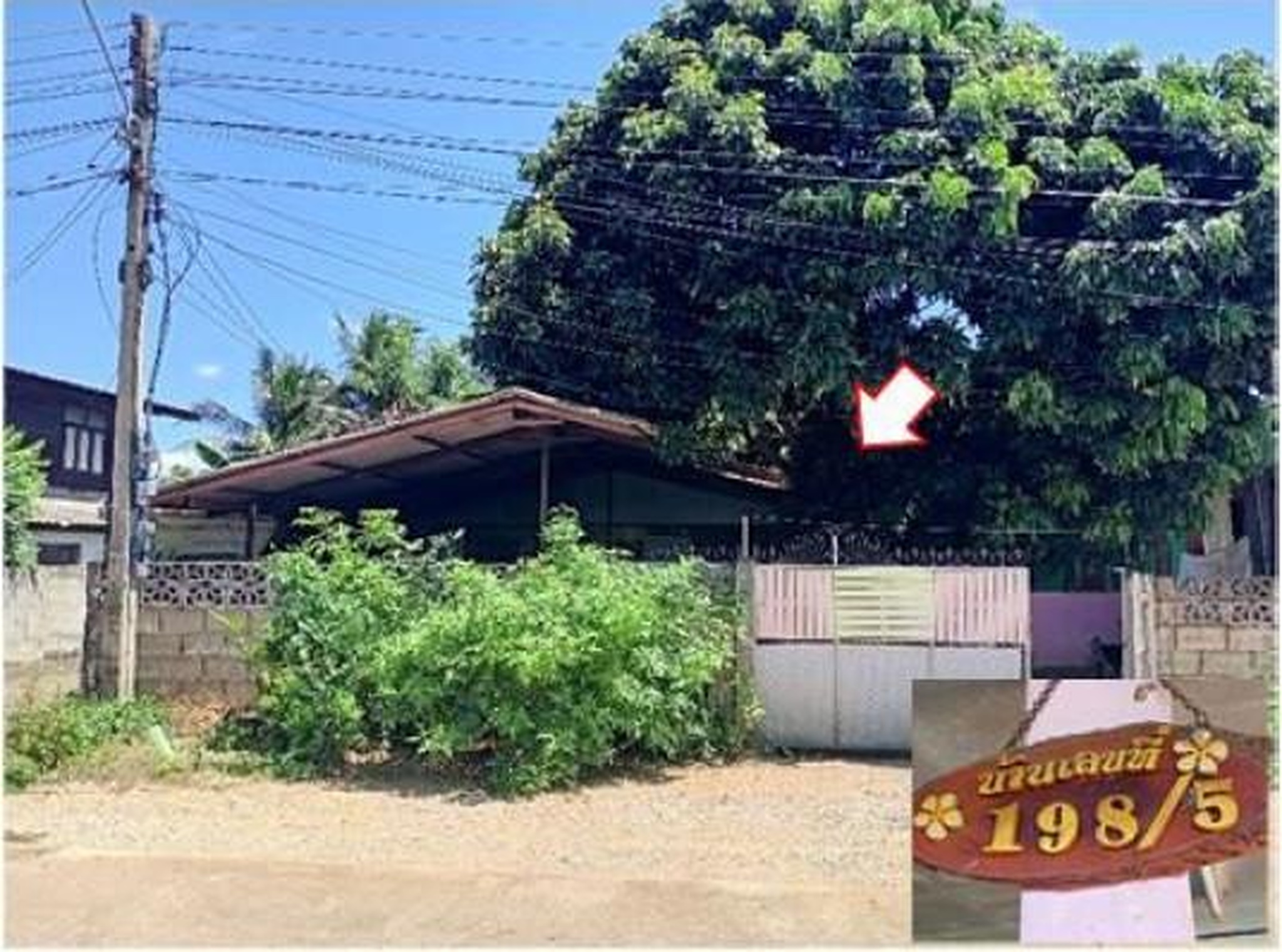 ทรัพย์สถาบันโดย GHB บ้านเดี่ยว บ้านป่าตัน