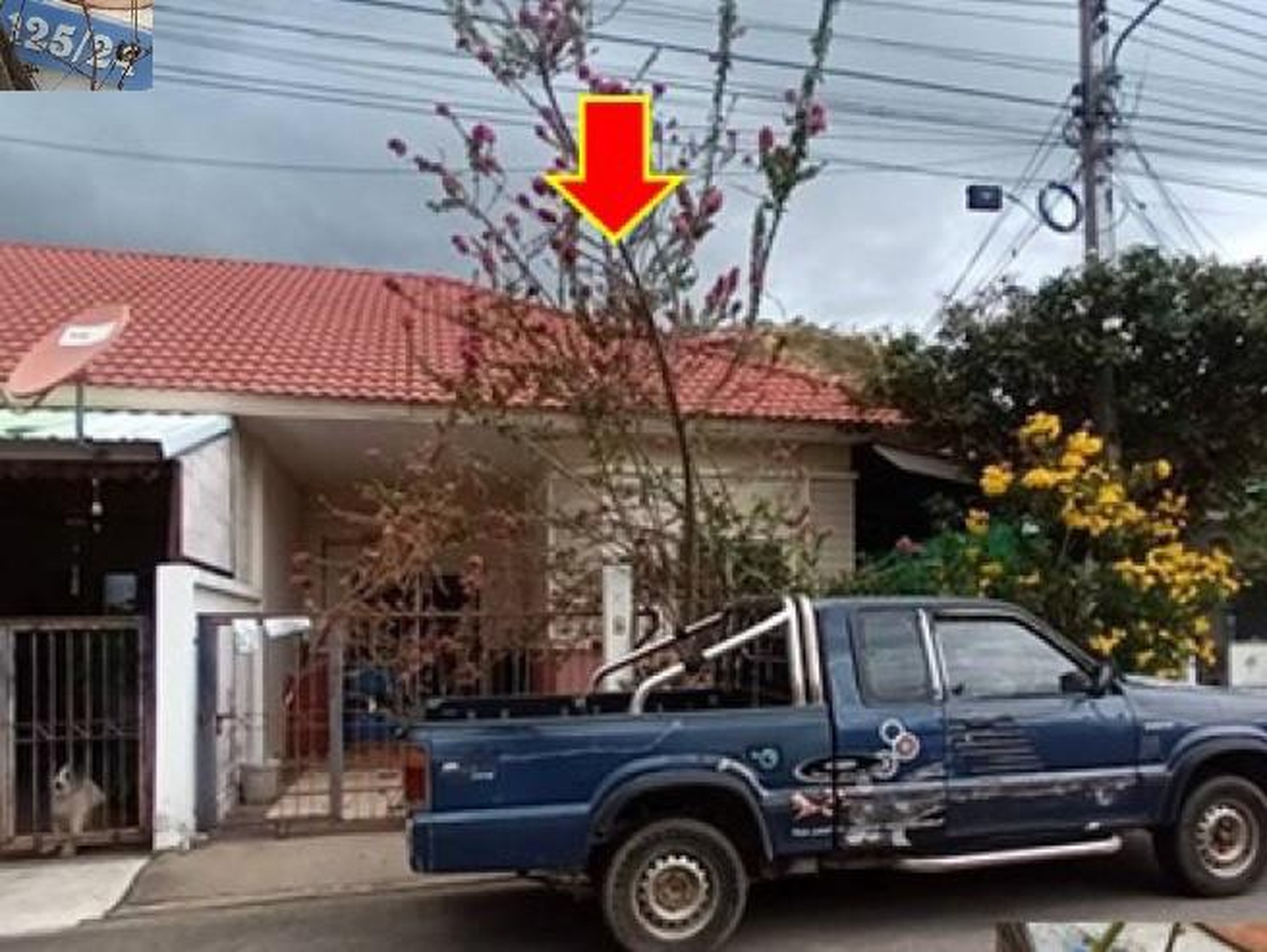 ทรัพย์สถาบันโดย GHB ทาวน์เฮาส์ พฤกษากาญจน์ 7