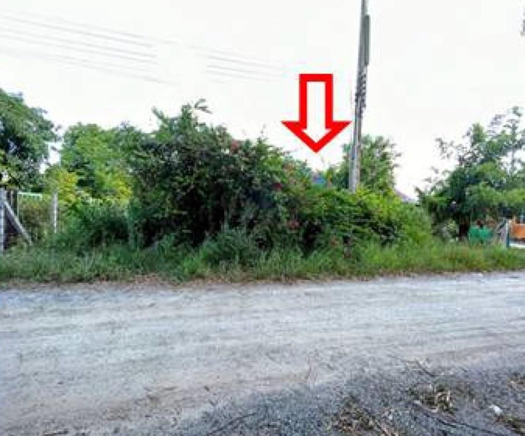 ทรัพย์สถาบันโดย GHB บ้านเดี่ยว พานทอง ชลบุรี