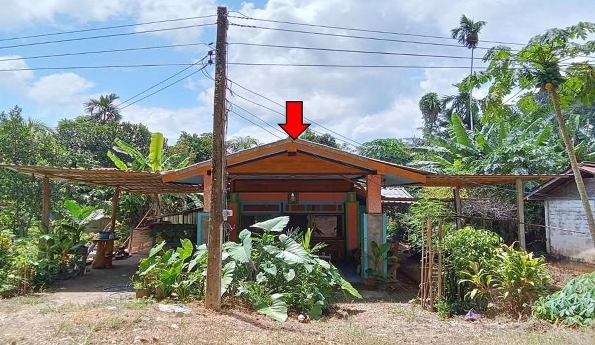 ทรัพย์สถาบันโดย GHB บ้านเดี่ยว ถนนแพรก-นาวง