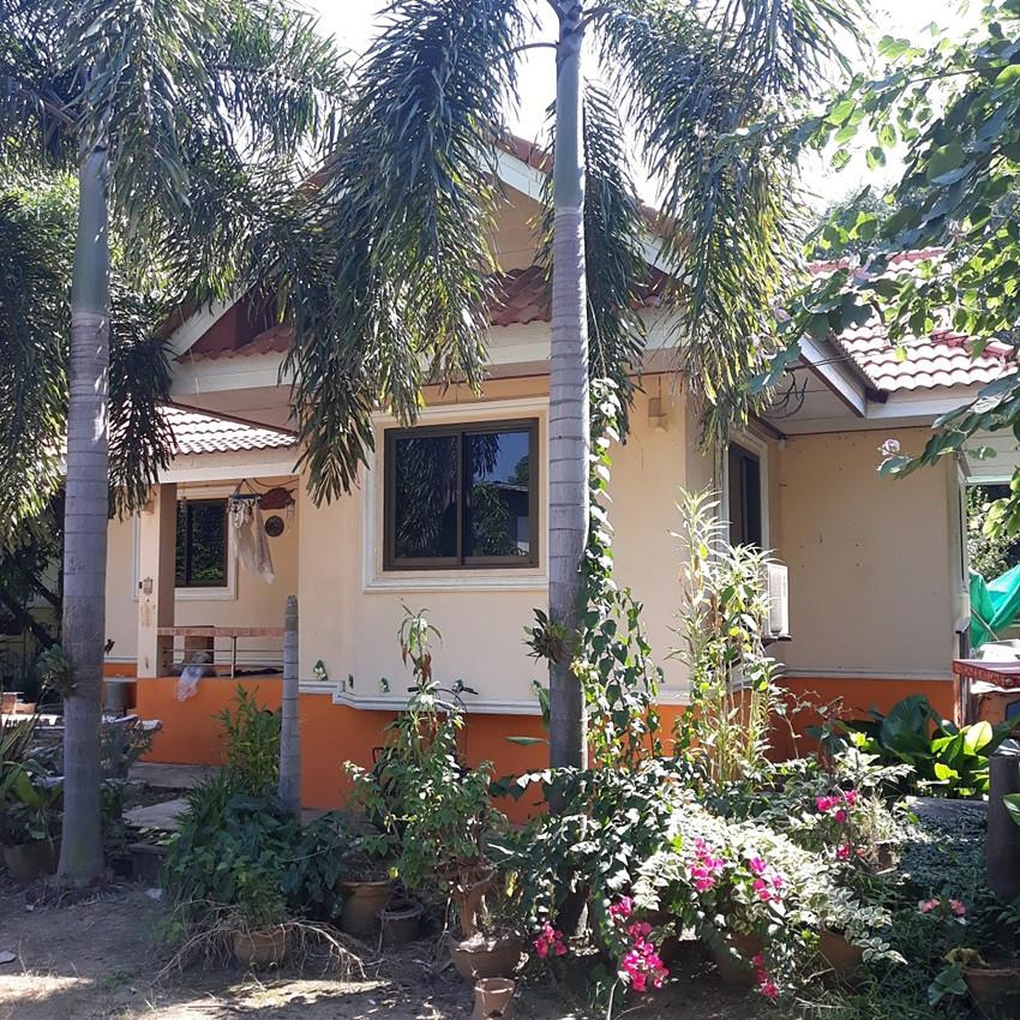ทรัพย์สถาบันโดย GHB บ้านเดี่ยว ถนนพิจิตร-บางกระทุ่ม