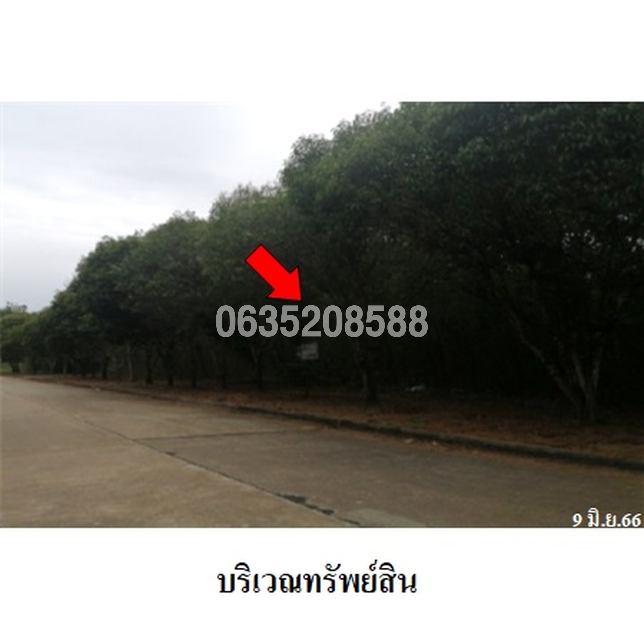 ขายที่ดิน สนามกอล์ฟดราก้อนฮิลล์