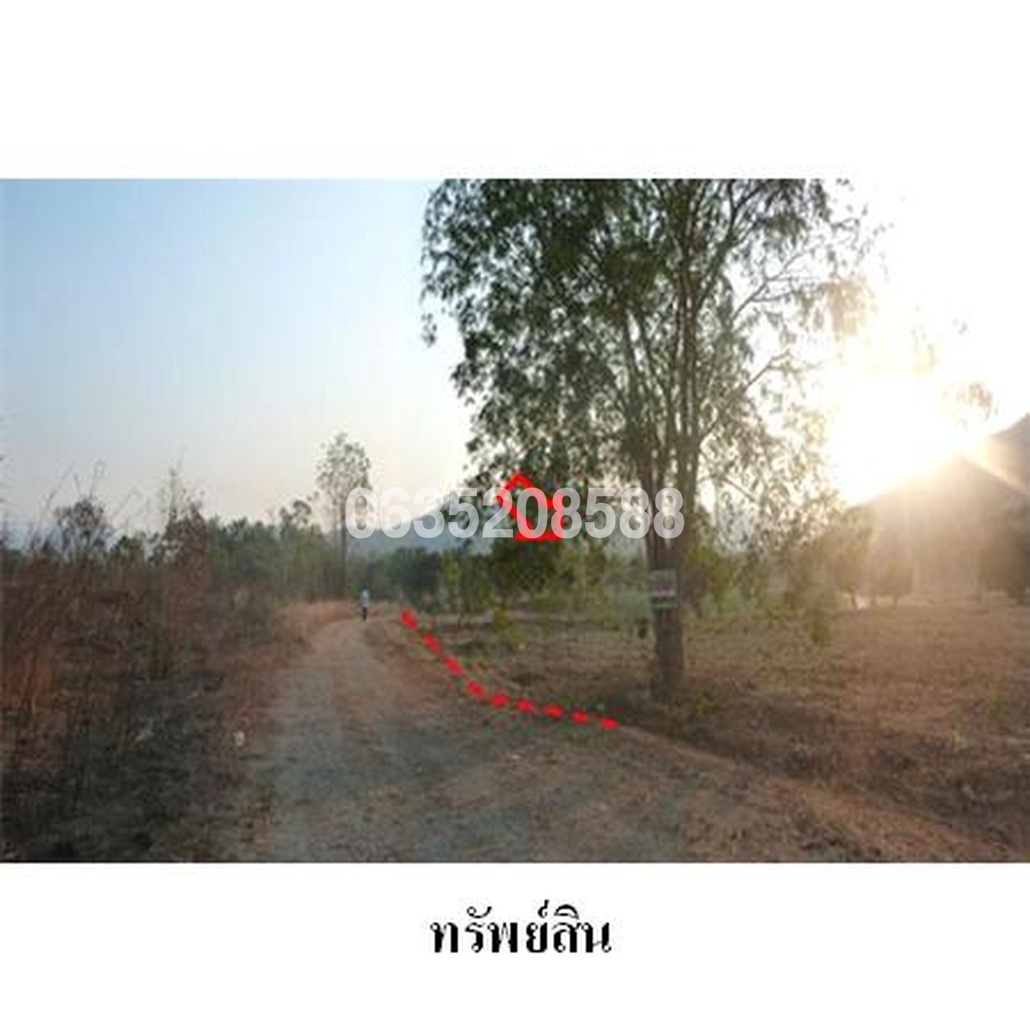ขายที่ดิน เดอะมาเจสติค ครีก คันทรี คลับ