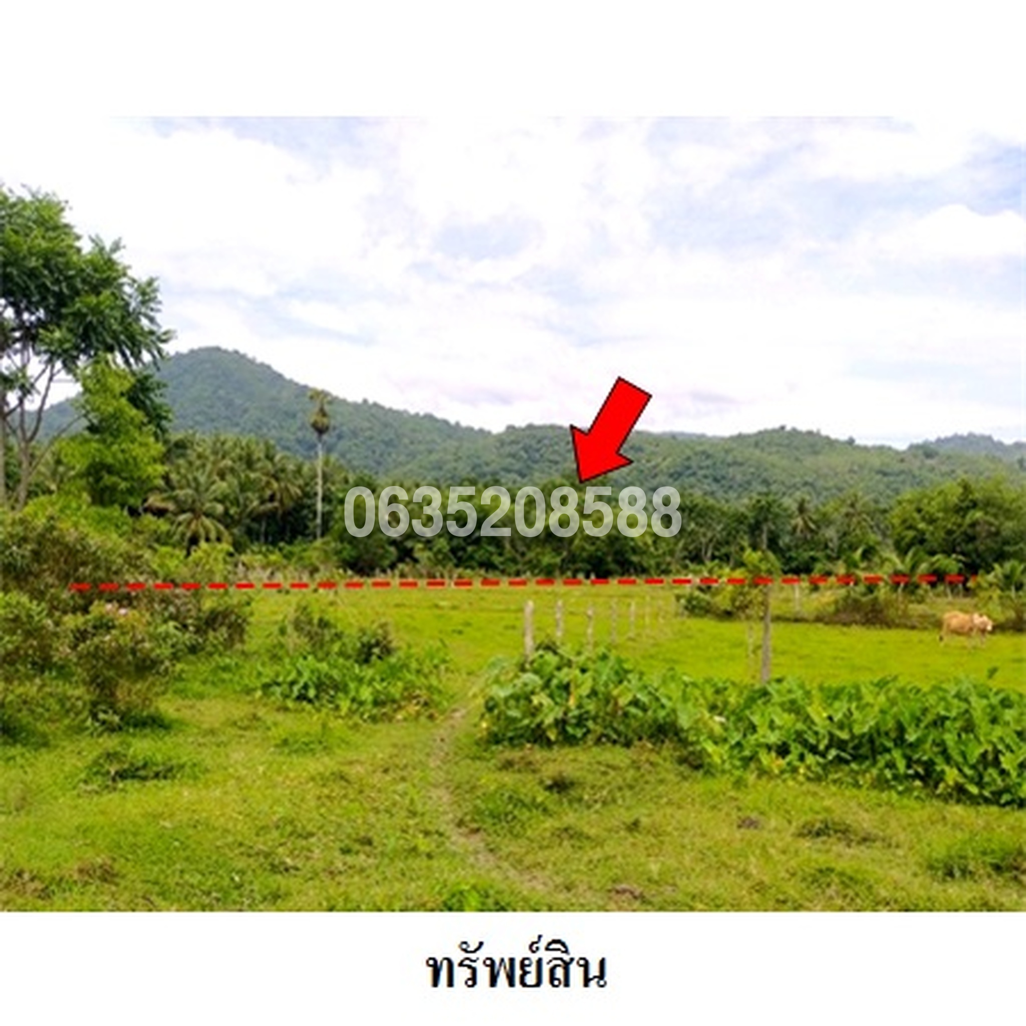 ขายที่ดิน ถนนสายบุรี-กะพ้อ (ทล.4060)