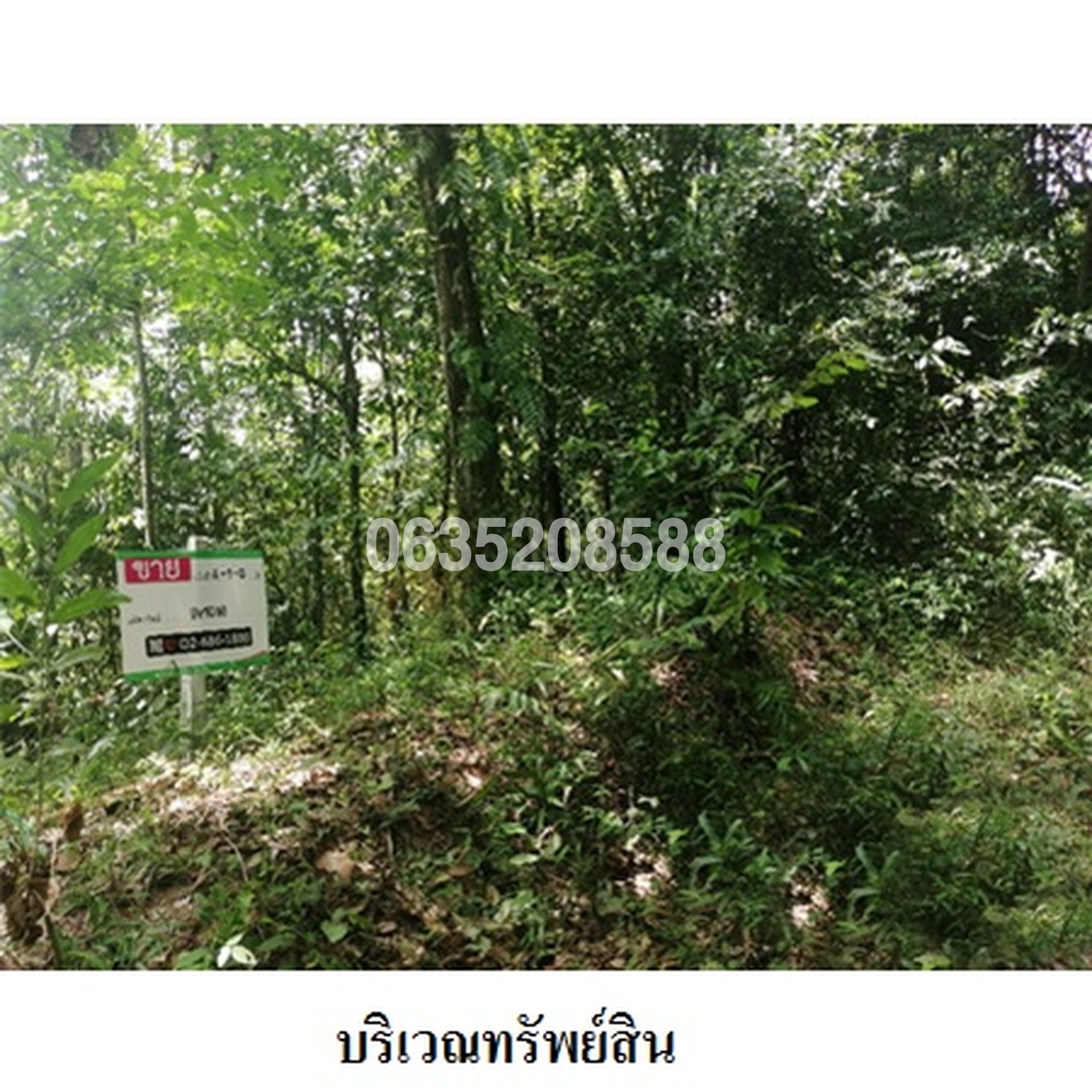 ขายที่ดิน ถนนสายบุรี-กะพ้อ (ทล.4060)