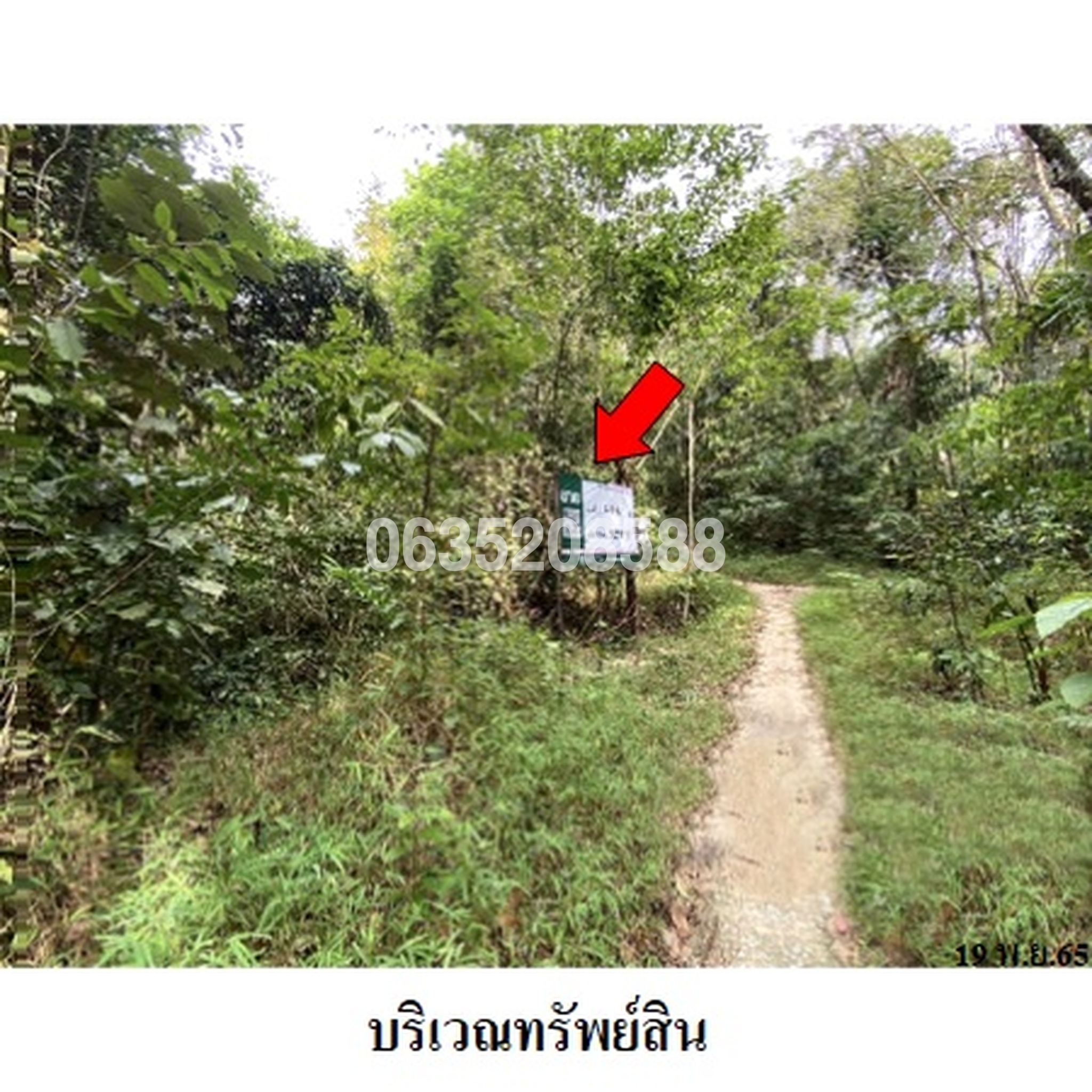 ขายที่ดิน ถนนสายบุรี-กะพ้อ (ทล.4060)
