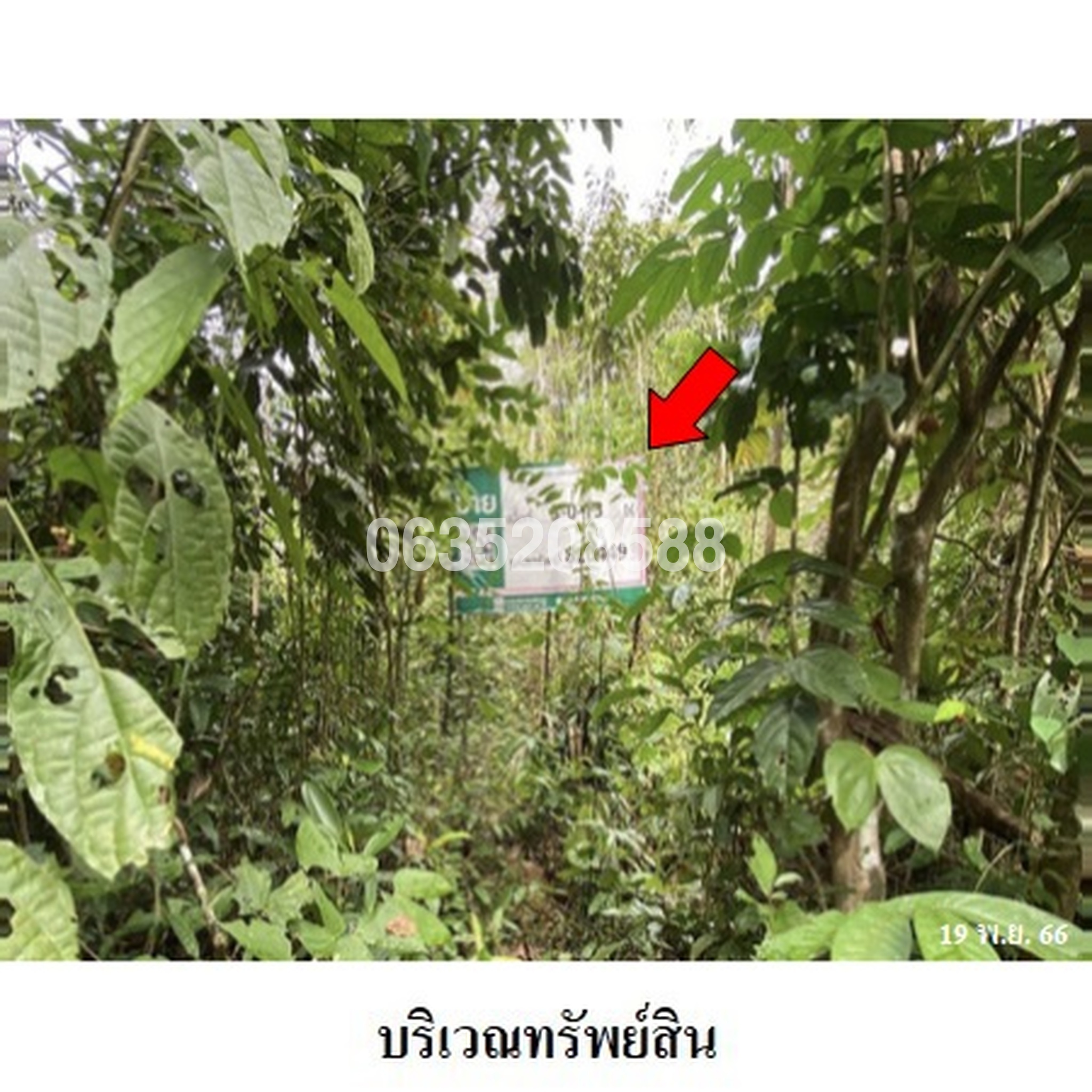 ขายที่ดิน ถนนสายบุรี-กะพ้อ (ทล.4060)