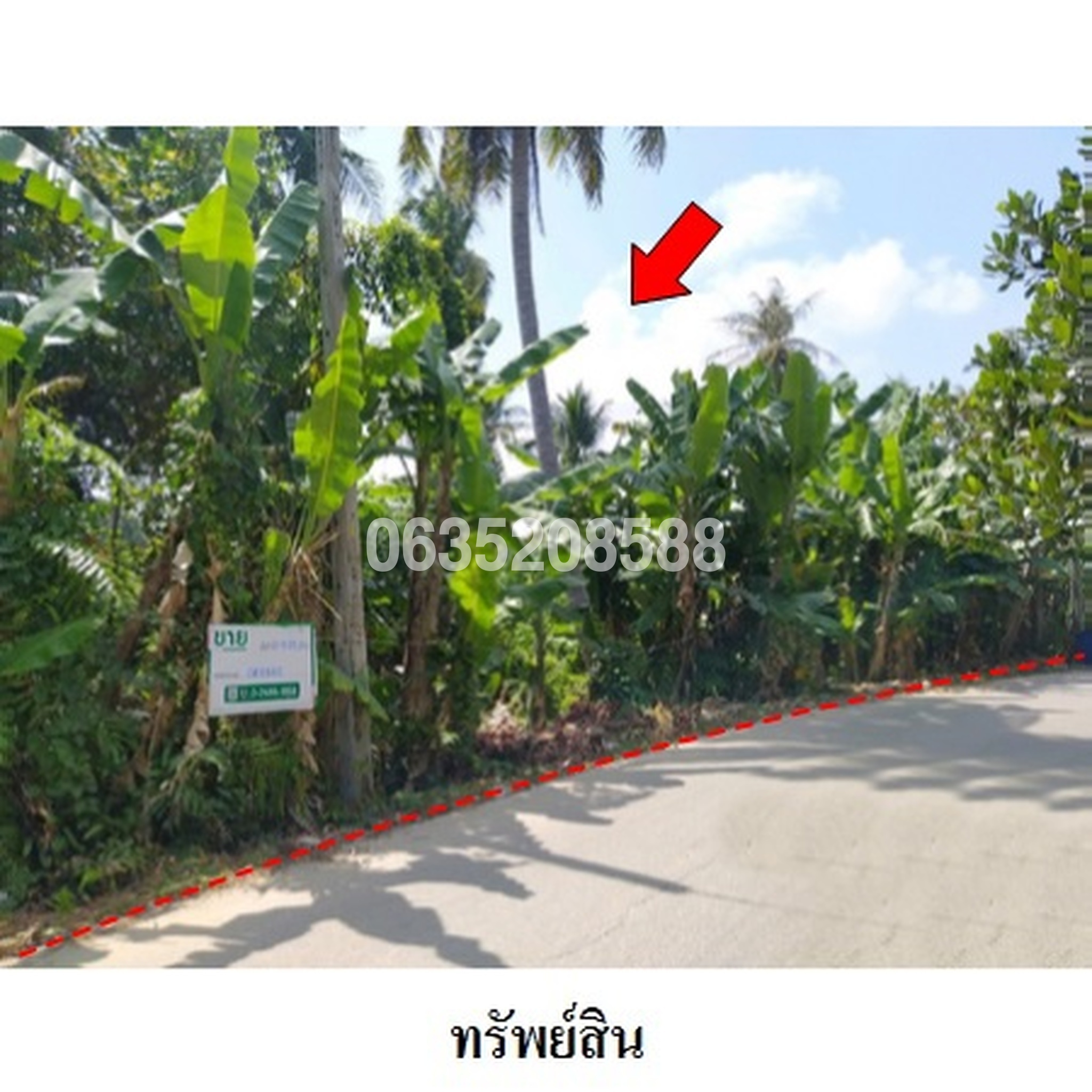 ขายที่ดิน ถนนจืองา-หวายขม