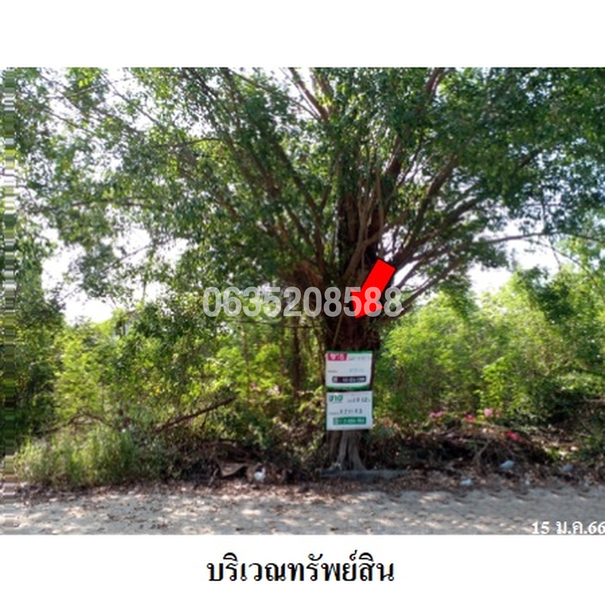ขายที่ดิน ชินีวิลล์