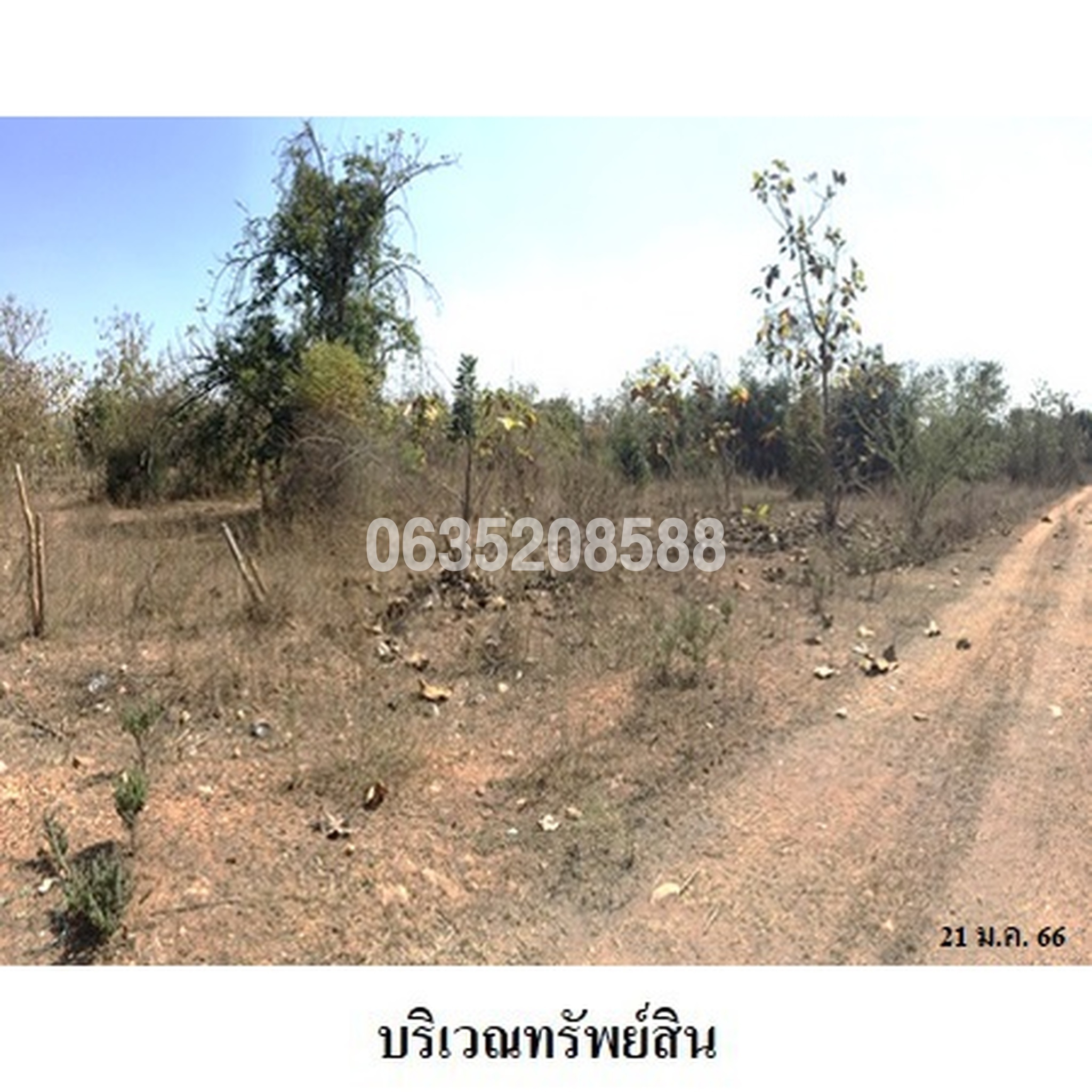 ขายที่ดิน เสริมทรัพย์สักทอง