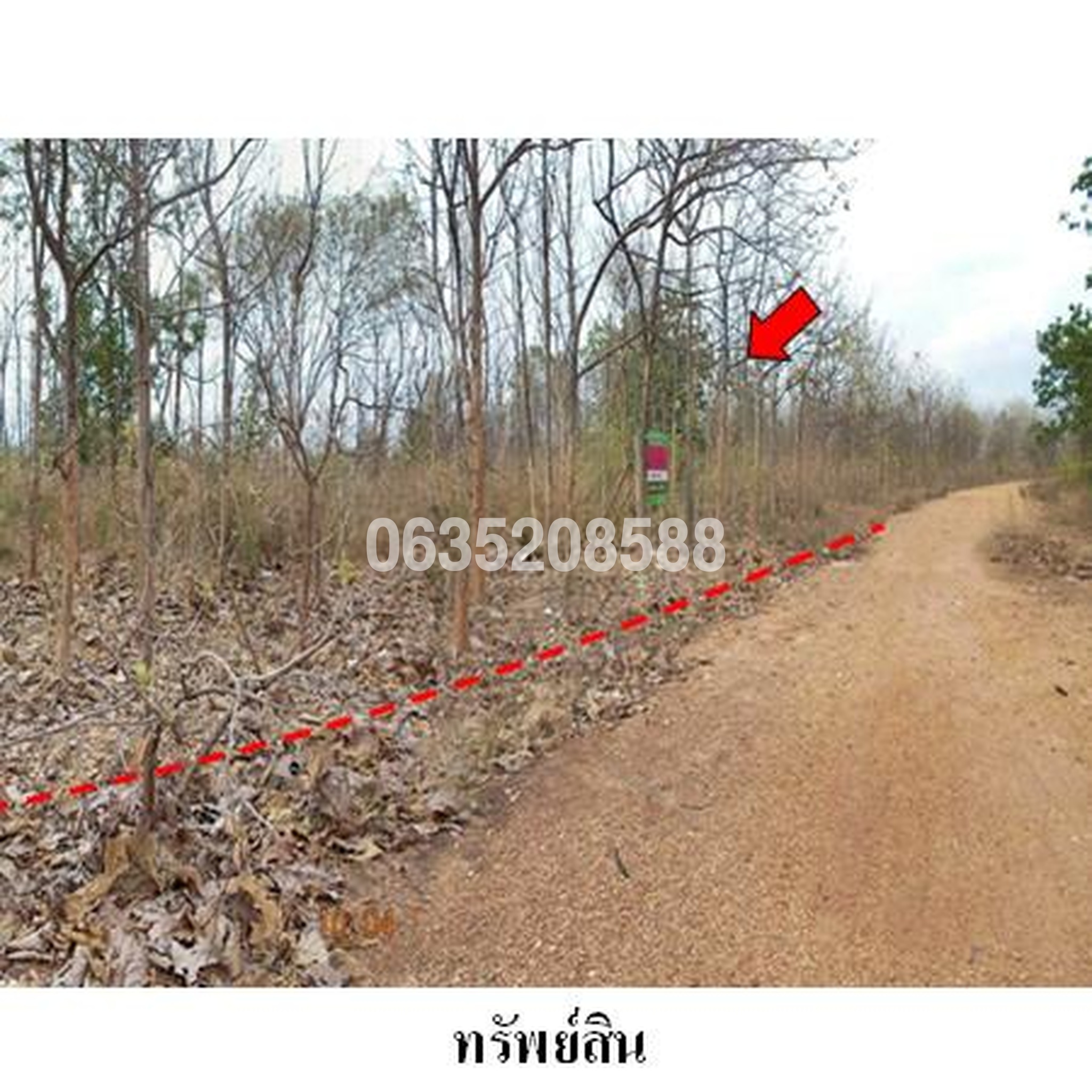 ขายที่ดิน เสริมทรัพย์สักทอง