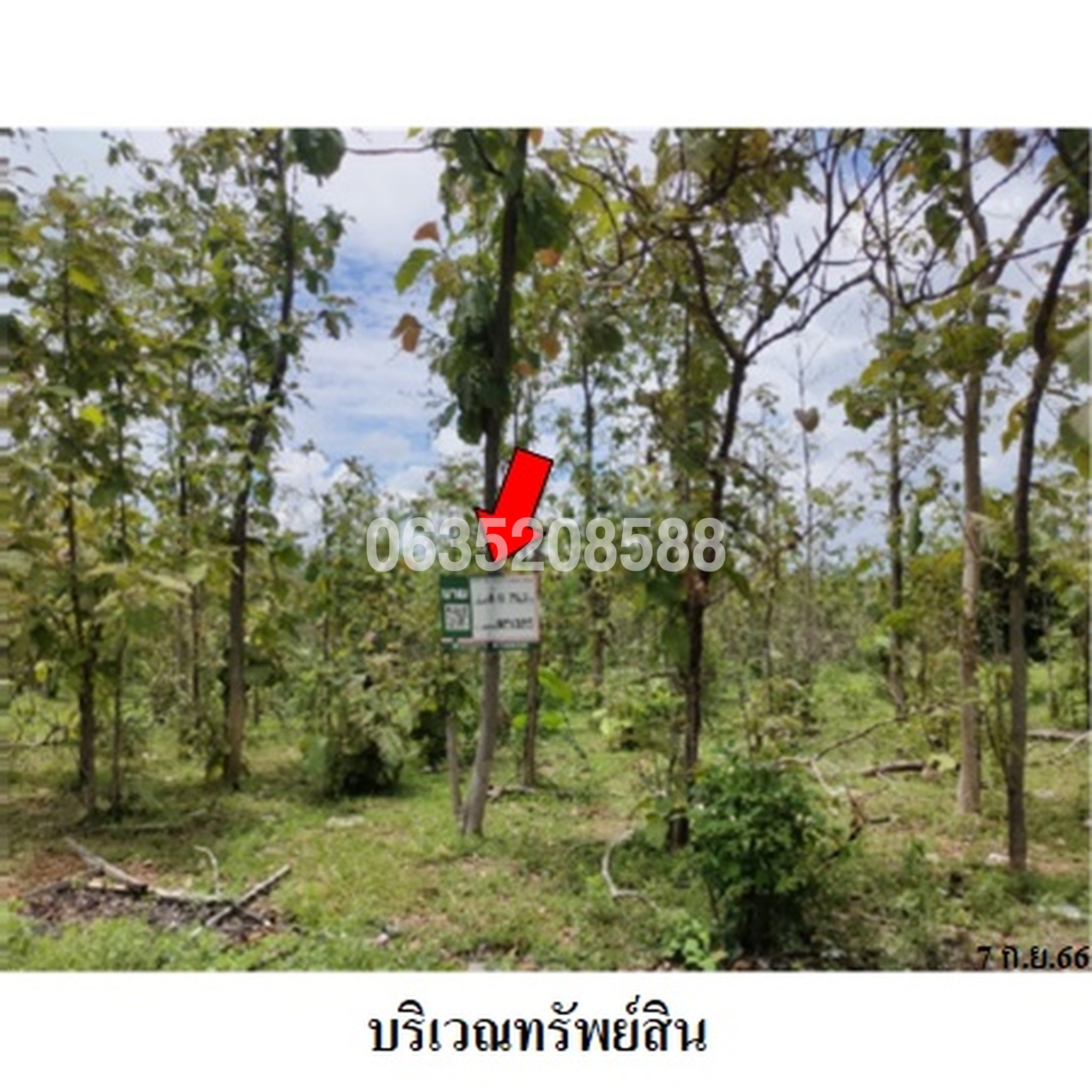 ขายที่ดิน เสริมทรัพย์สักทอง