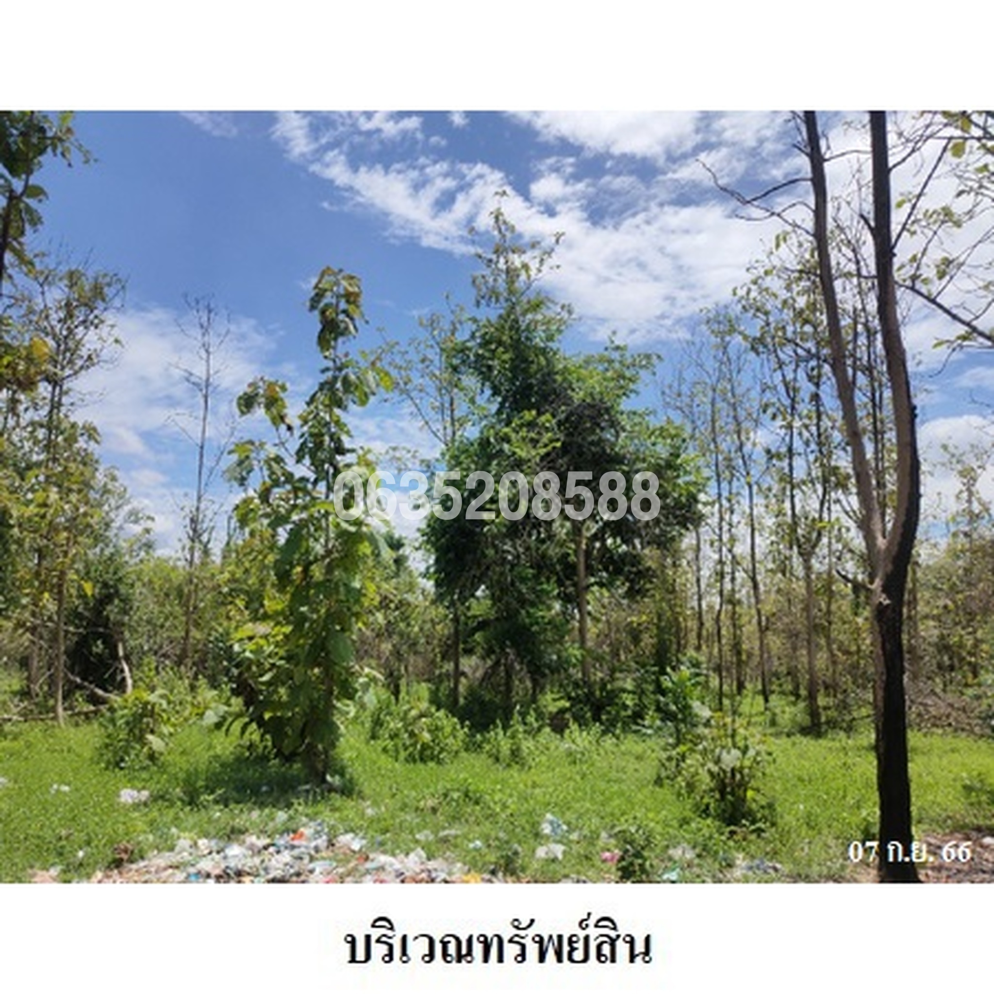 ขายที่ดิน เสริมทรัพย์สักทอง