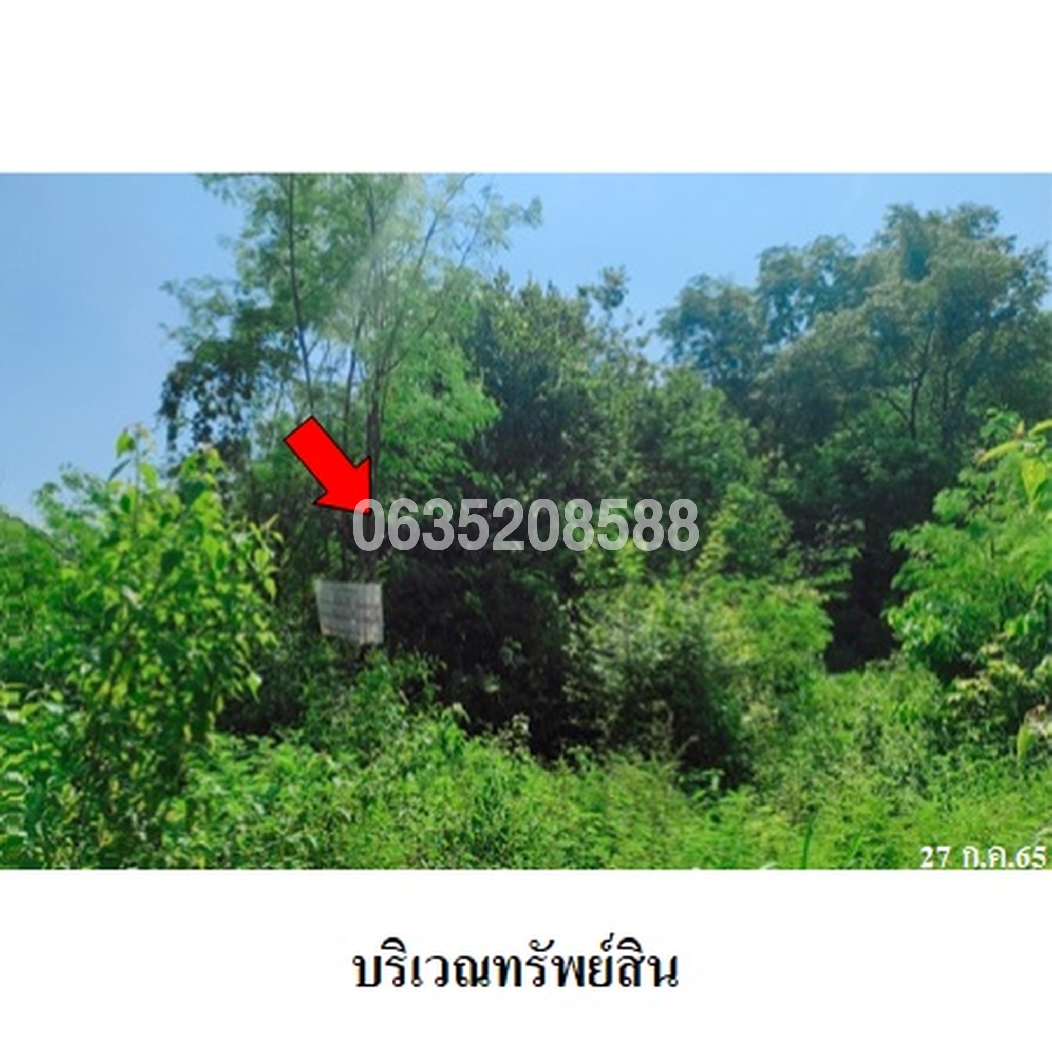 ขายที่ดิน เพชรบูรณ์การ์เด้นฮิลล์