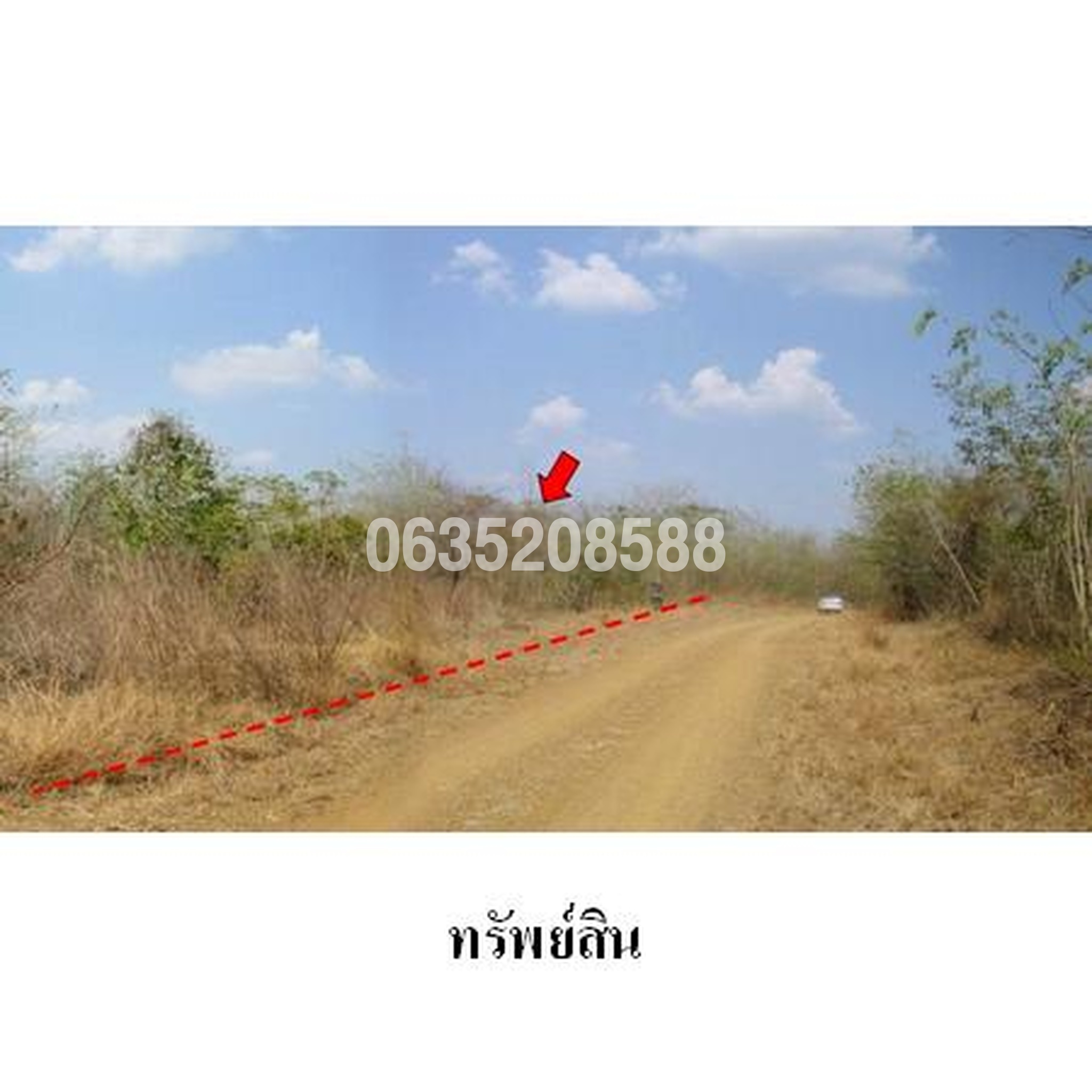 ขายที่ดิน เพชรบูรณ์การ์เด้นฮิลล์