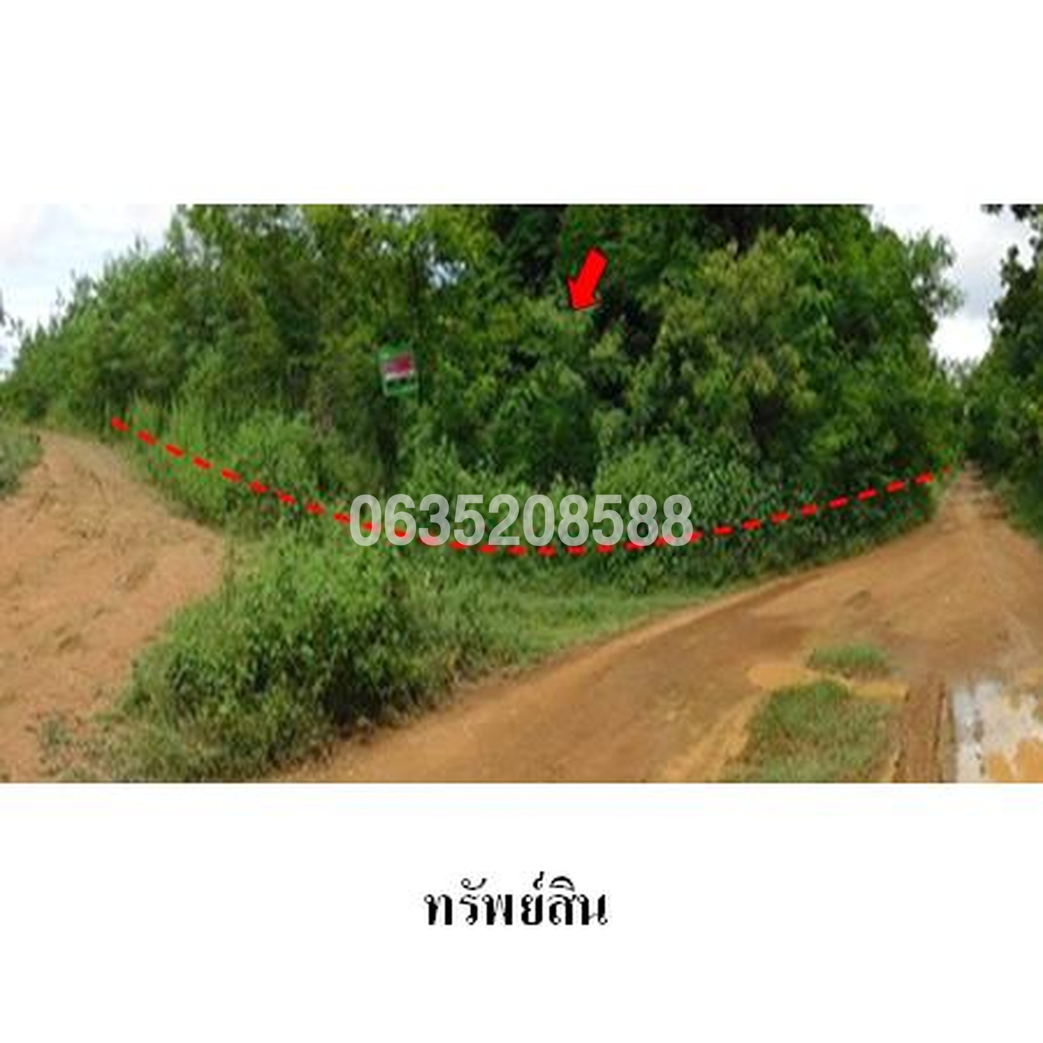 ขายที่ดิน เพชรบูรณ์การ์เด้นฮิลล์