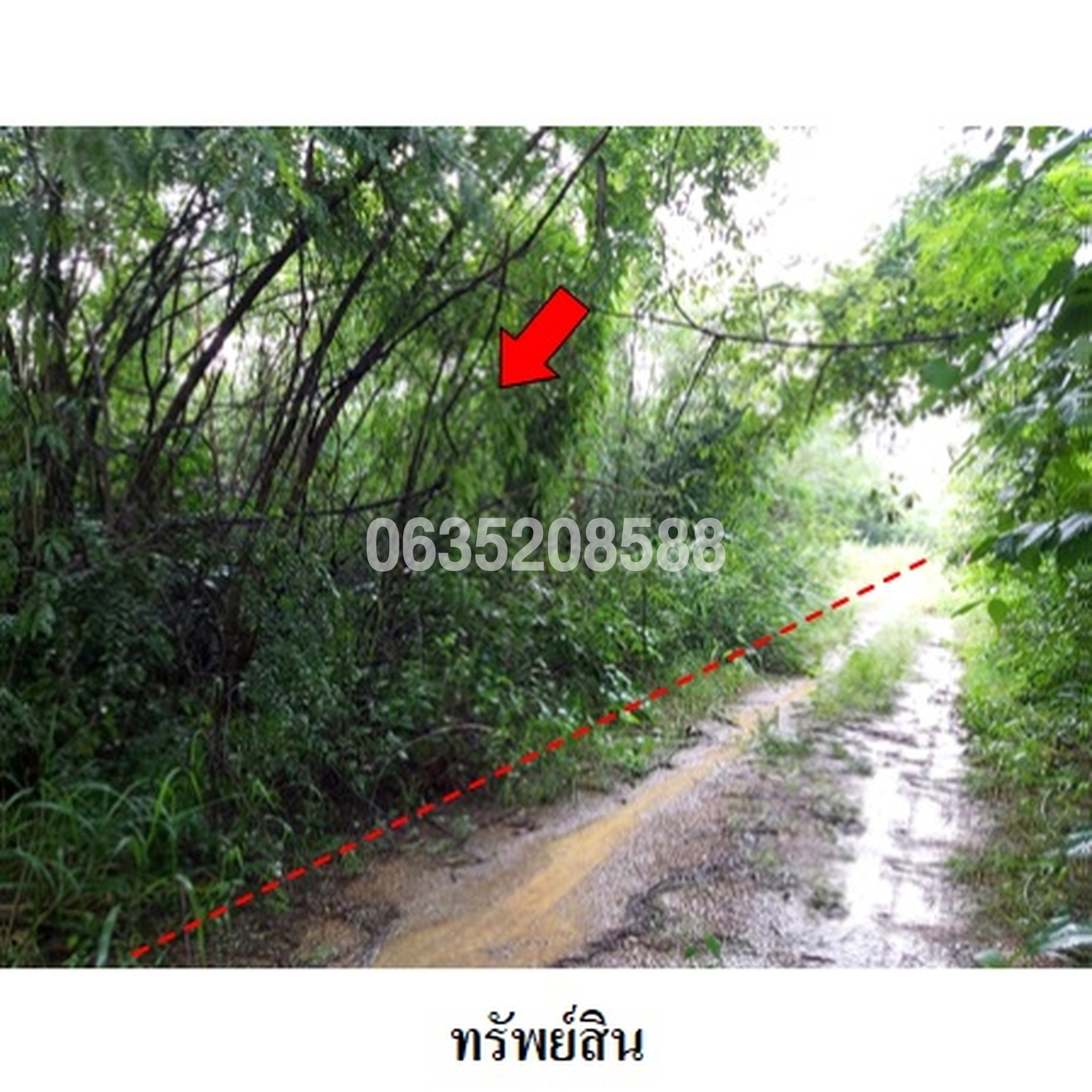 ขายที่ดิน เพชรบูรณ์การ์เด้นฮิลล์