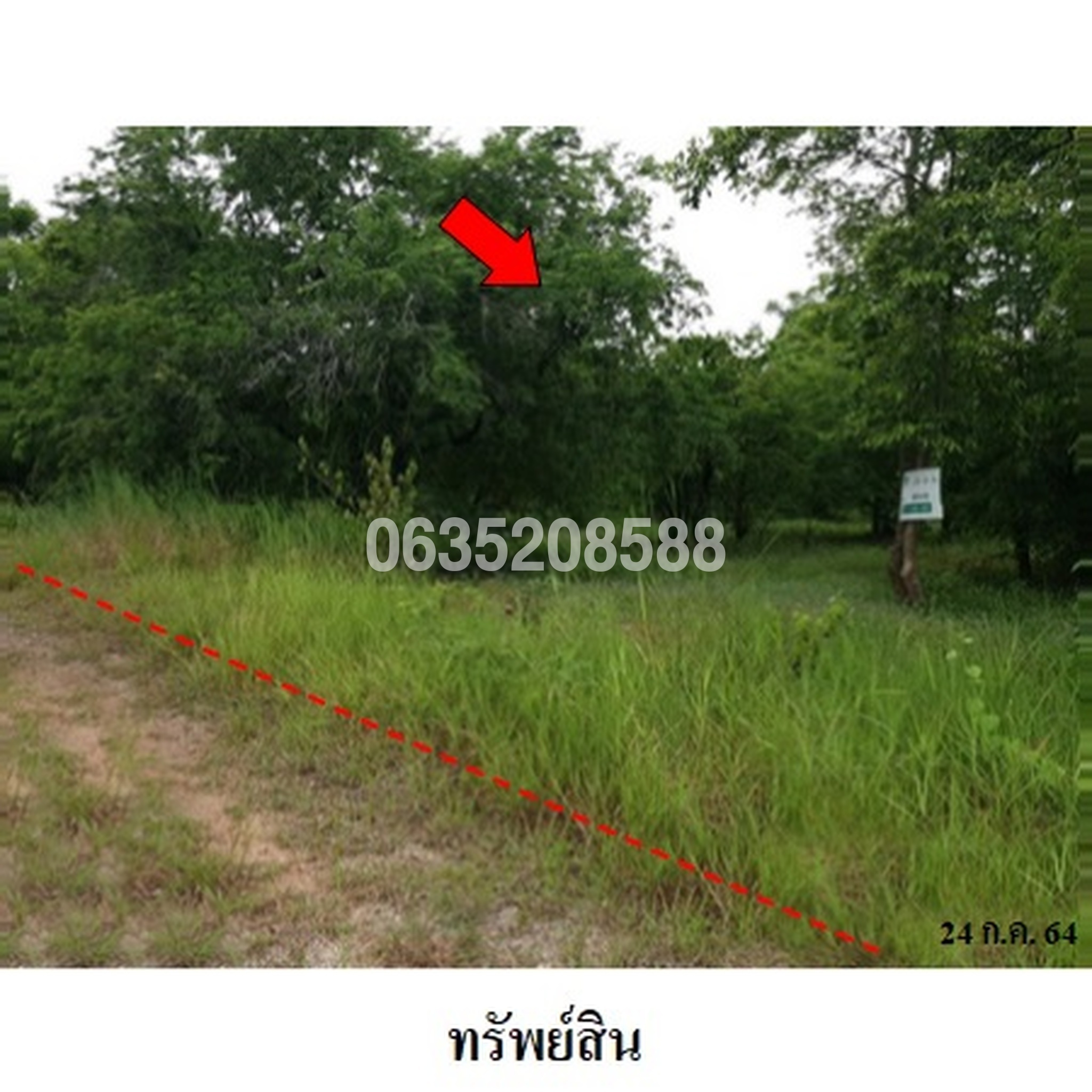 ขายที่ดิน เพชรบูรณ์ฮิลล์ แอนด์ การ์เด้น