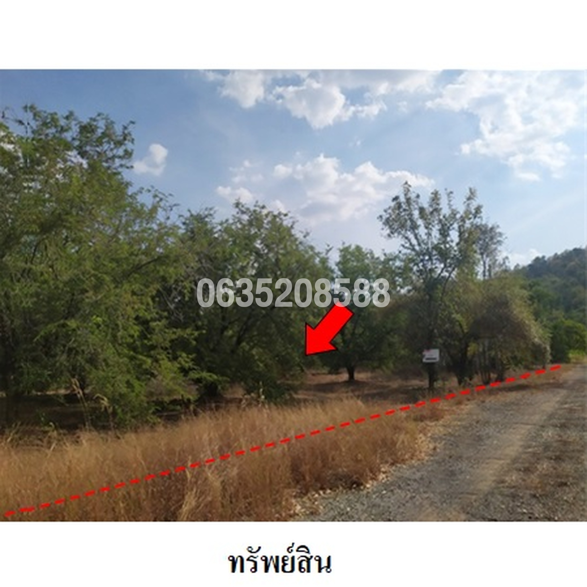 ขายที่ดิน เพชรบูรณ์ฮิลล์ แอนด์ การ์เด้น