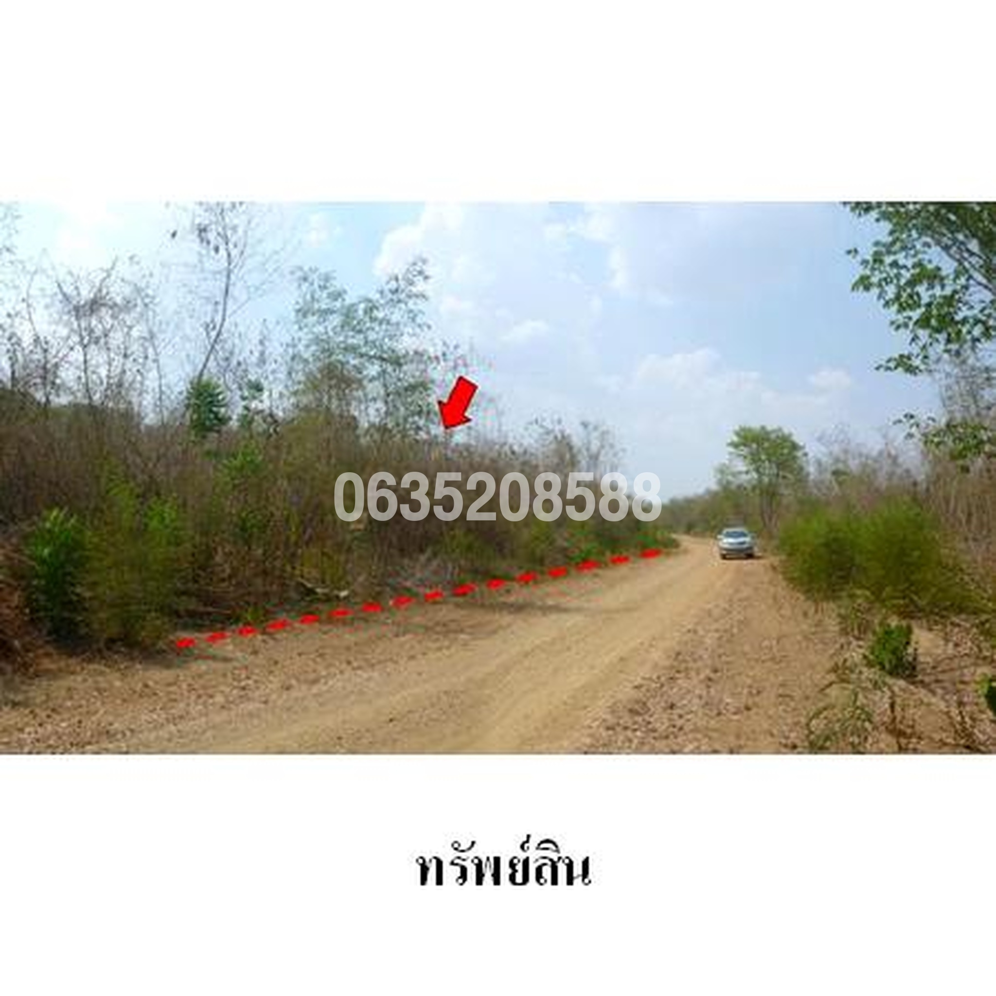 ขายที่ดิน เพชรบูรณ์การ์เด้นฮิลล์