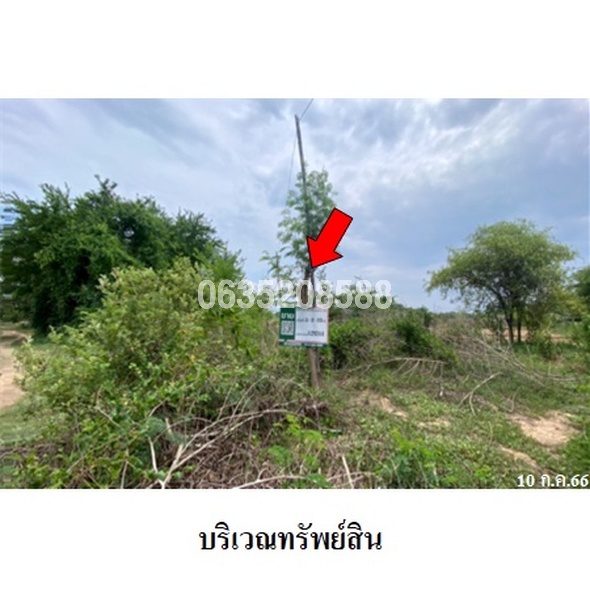 ขายที่ดิน ซอยชุมชนหมอสม 12 ถนนเลียบแม่น้ำวัง