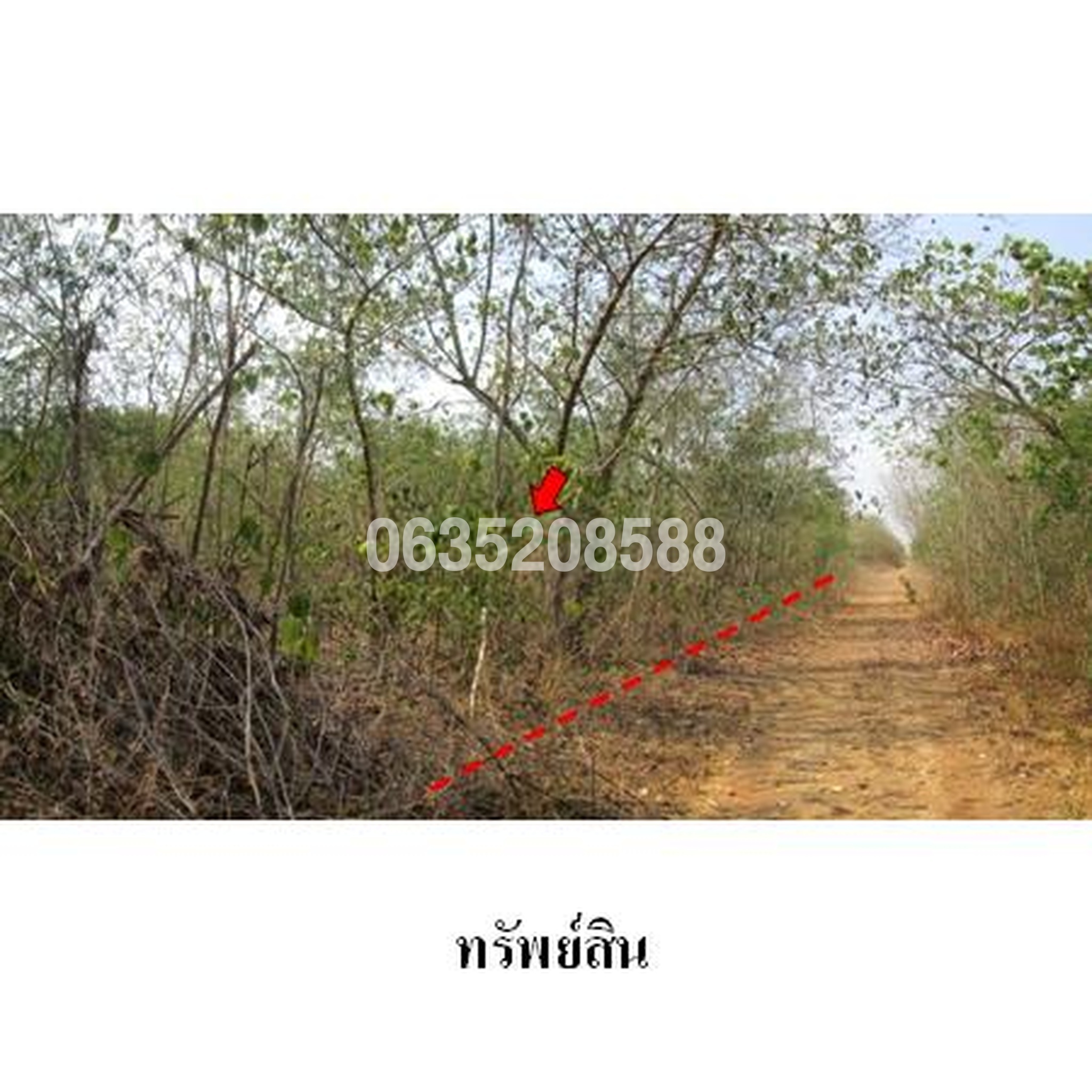 ขายที่ดิน เพชรบูรณ์การ์เด้นฮิลล์