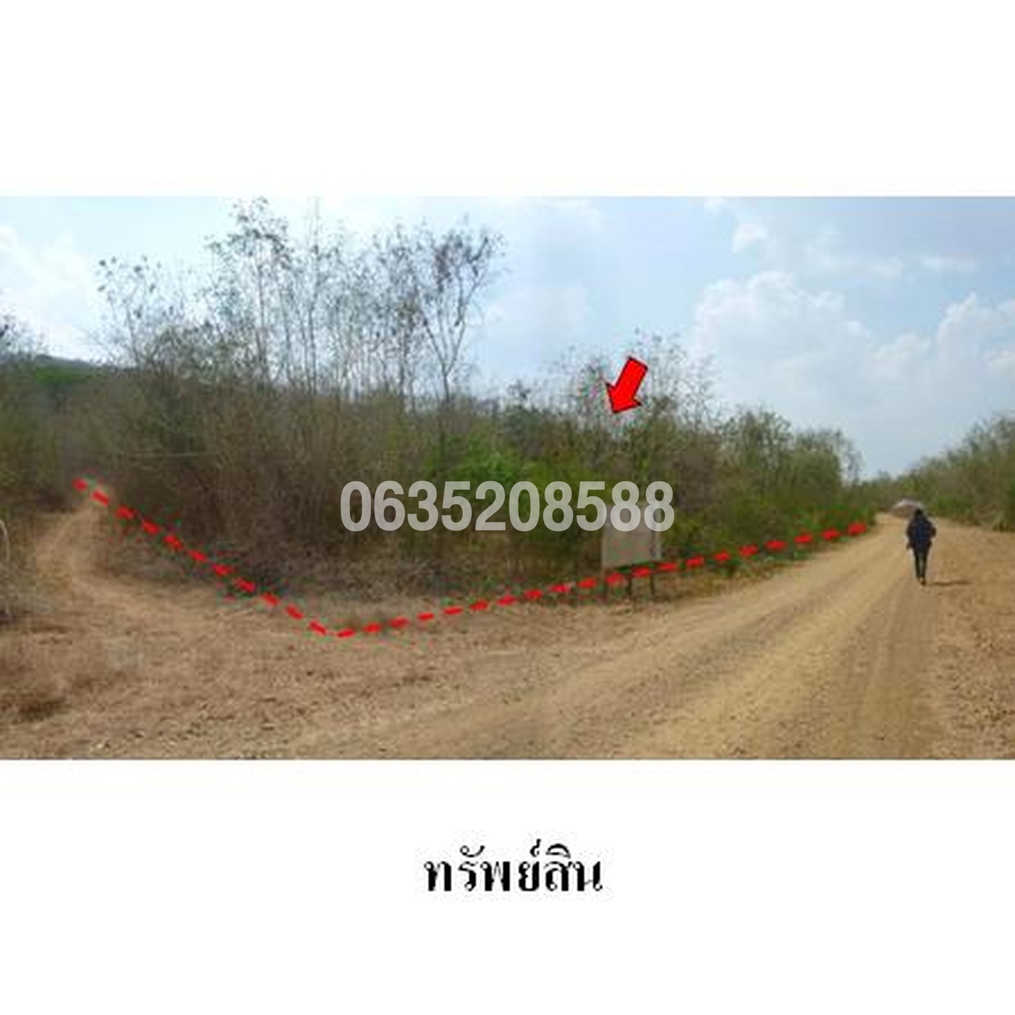 ขายที่ดิน เพชรบูรณ์การ์เด้นฮิลล์