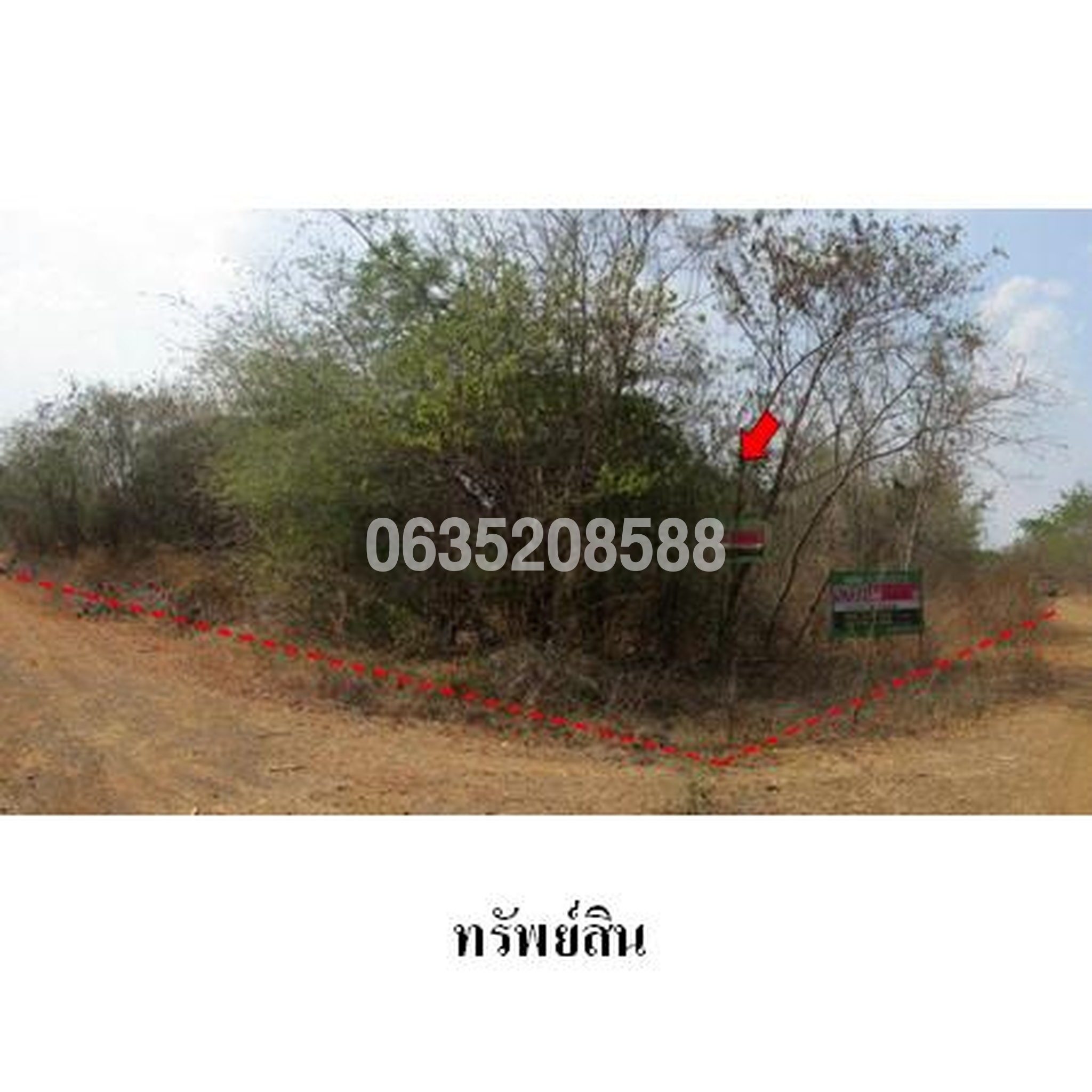 ขายที่ดิน เพชรบูรณ์การ์เด้นฮิลล์