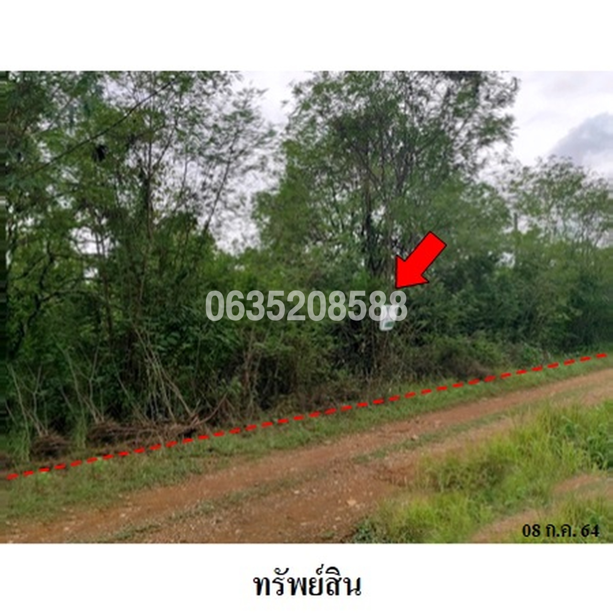ขายที่ดิน เพชรบูรณ์การ์เด้นฮิลล์