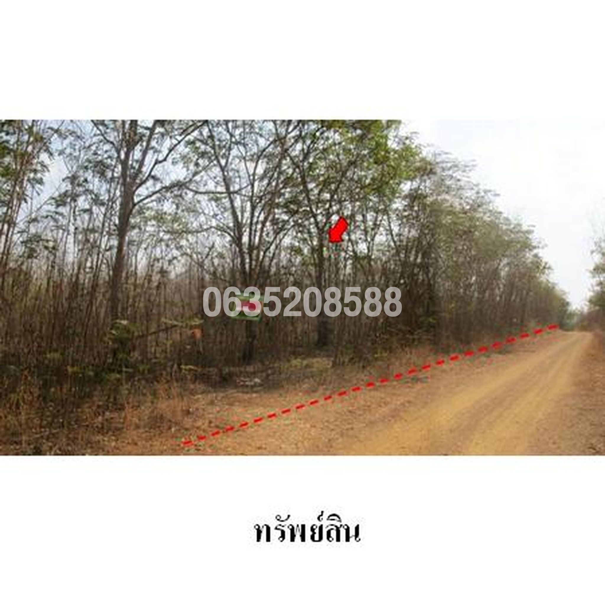 ขายที่ดิน เพชรบูรณ์การ์เด้นฮิลล์