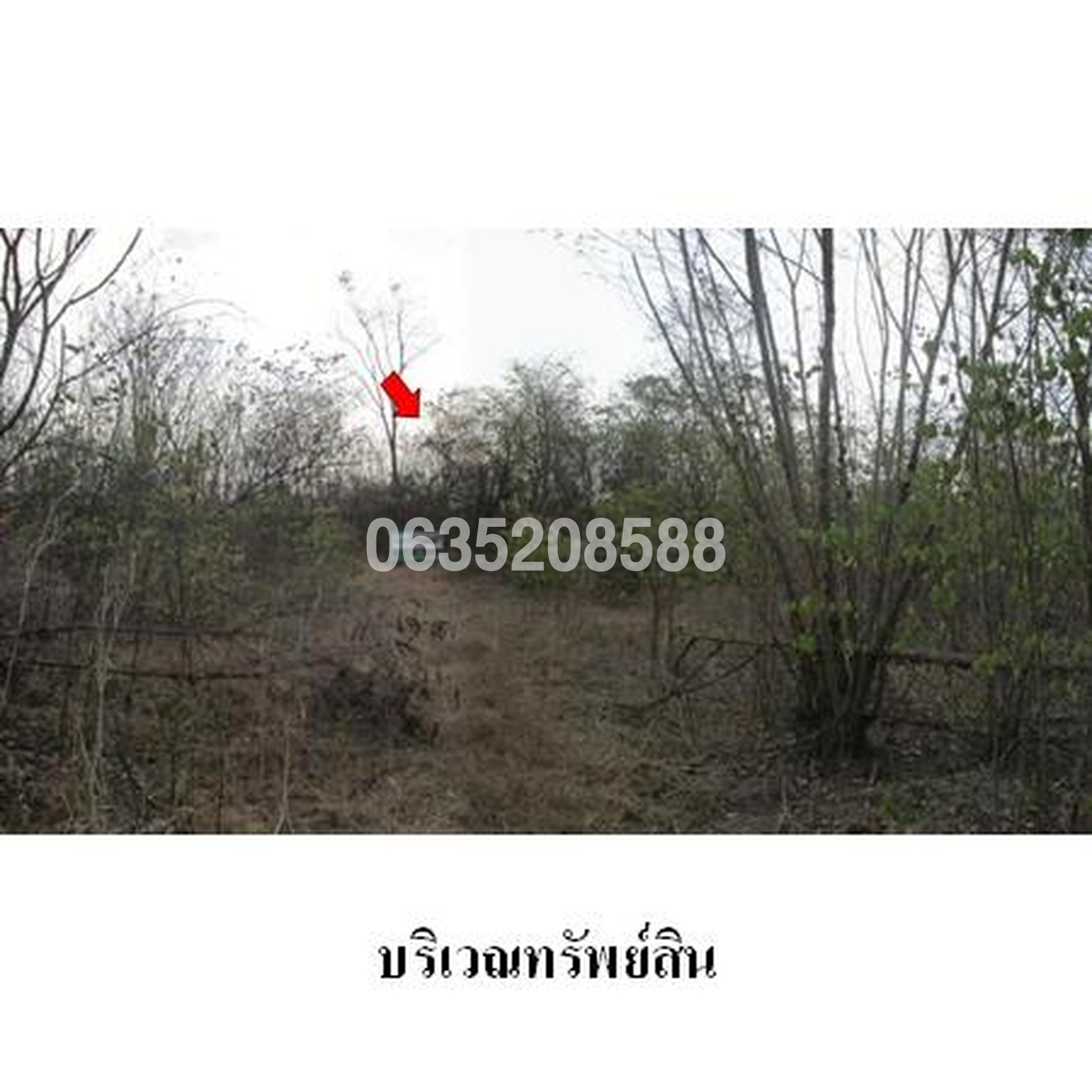 ขายที่ดิน เพชรบูรณ์การ์เด้นฮิลล์