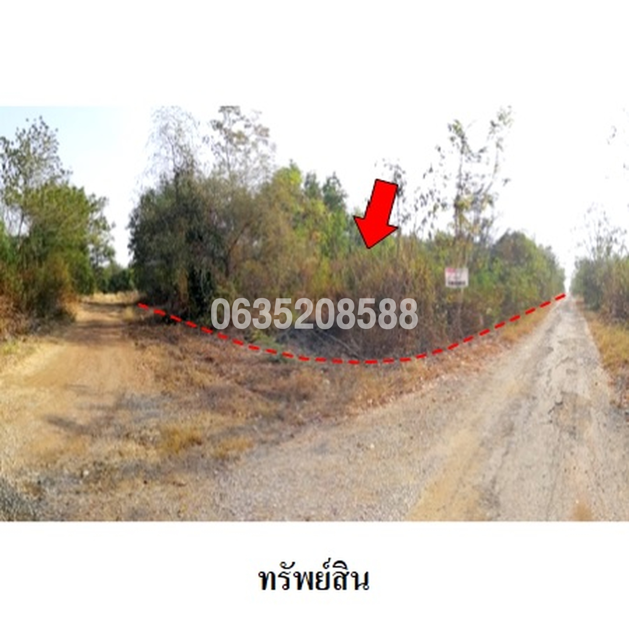 ขายที่ดิน ไดมอนด์ ทรี การ์เด้นท์ รีสอร์ท