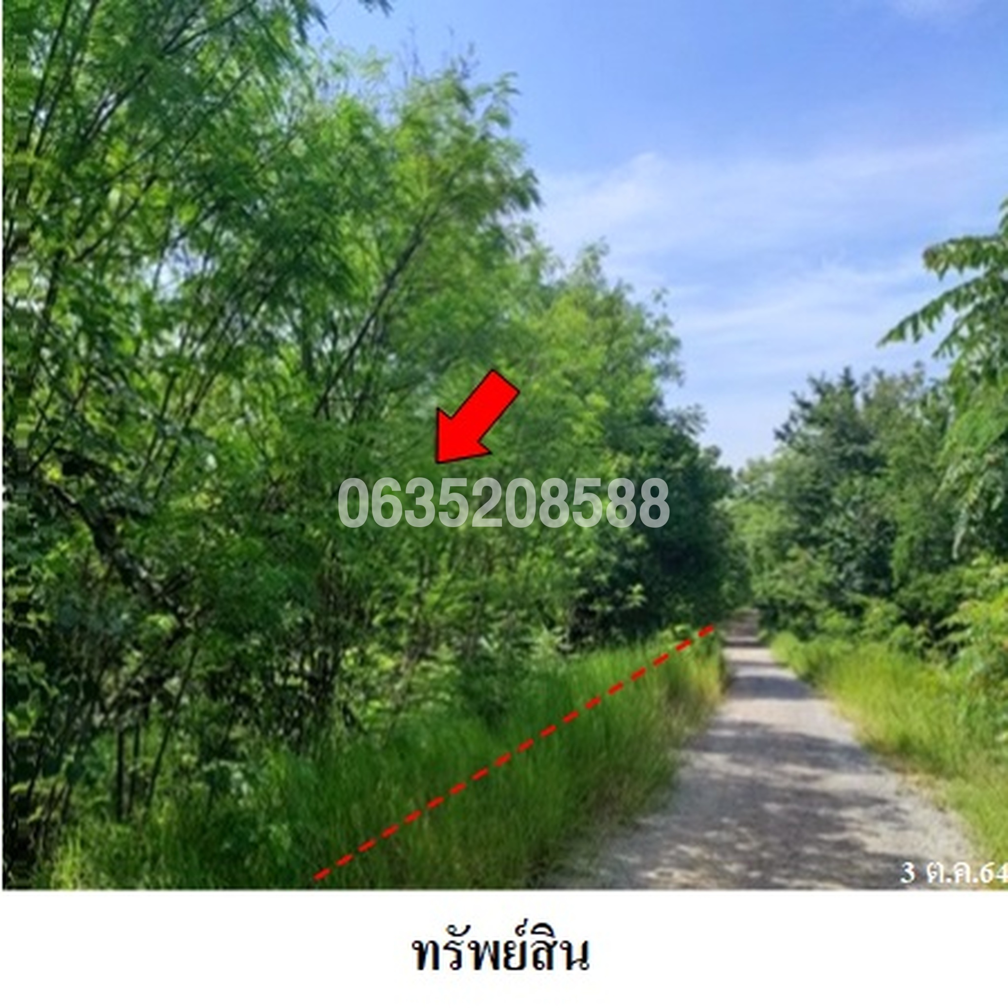 ขายที่ดิน เพชรบูรณ์ฮิลล์ แอนด์ การ์เด้น