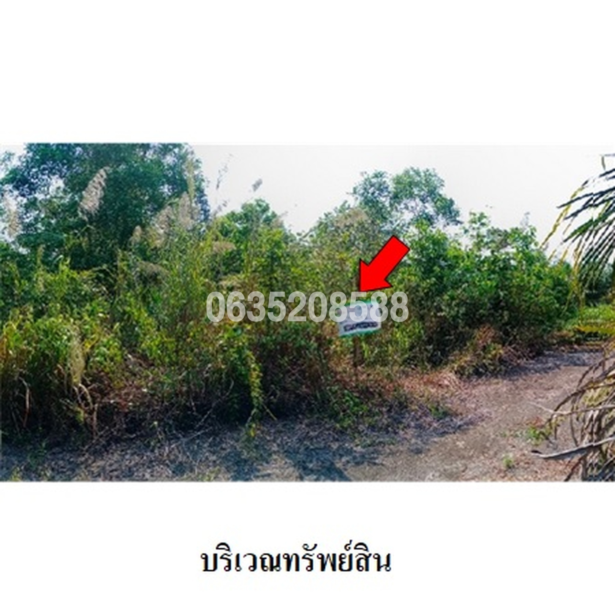 ขายที่ดิน เพชรธานีวิลล์