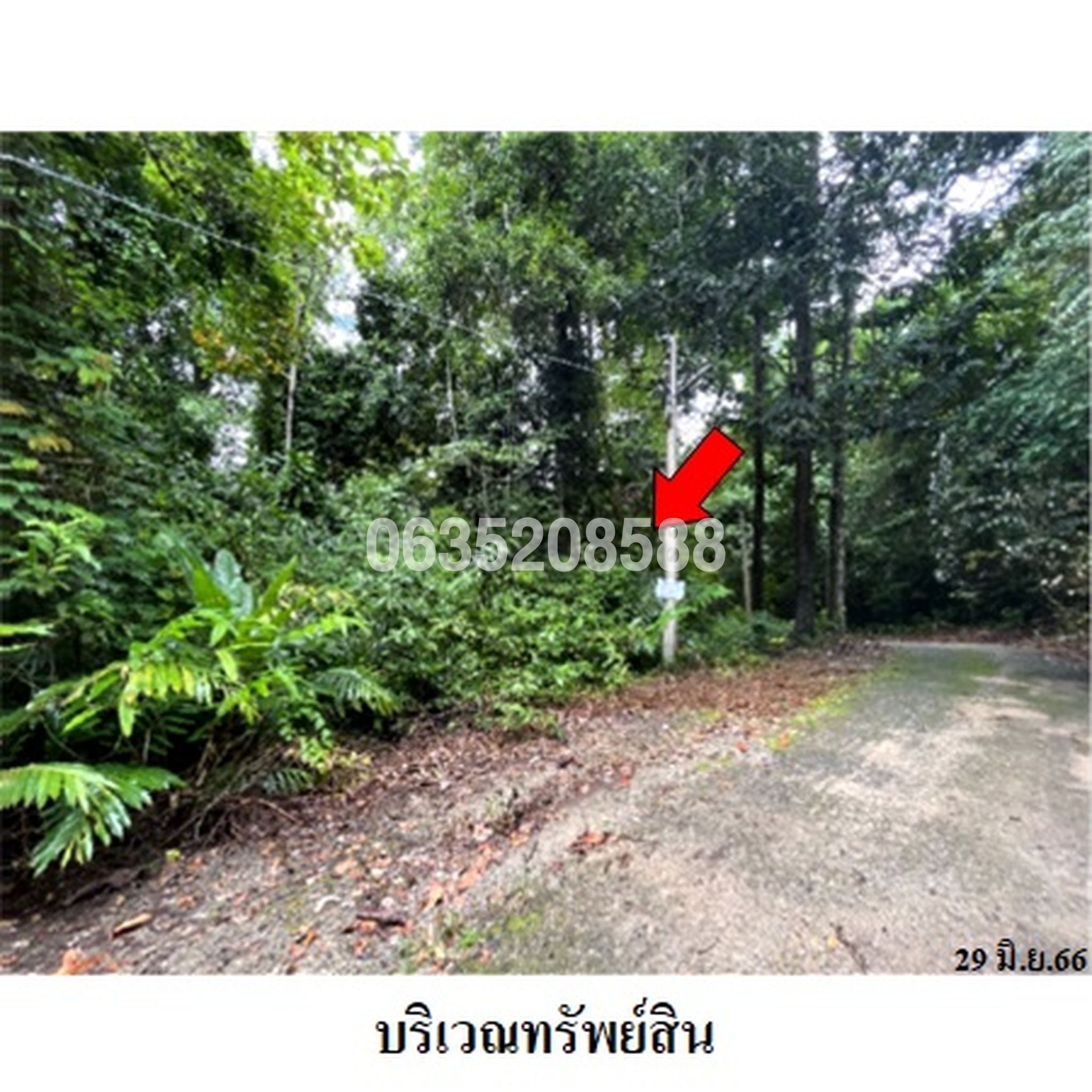 ขายที่ดิน กระทิง คันทรี รีสอร์ท