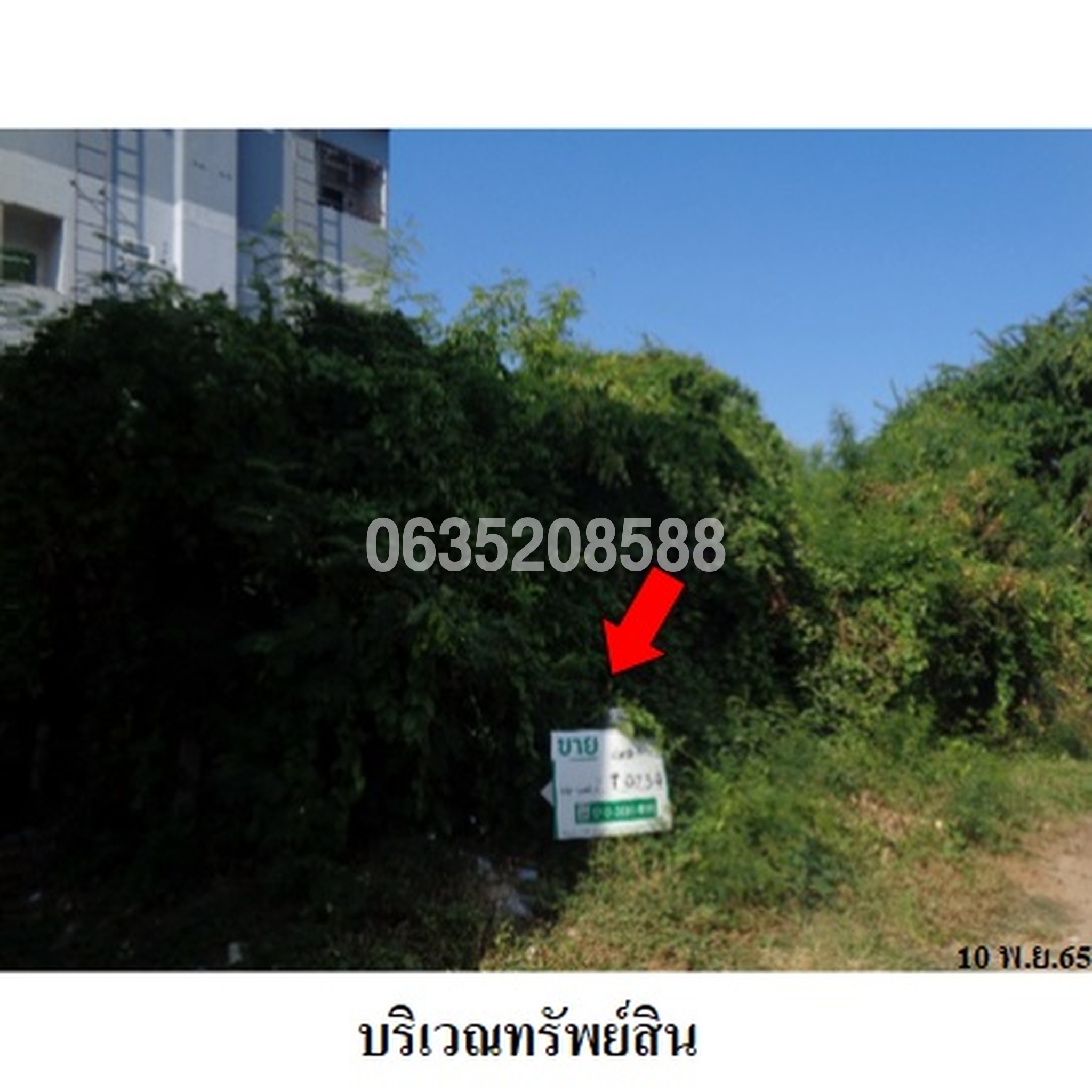 ขายที่ดิน รุ่งอรุณ
