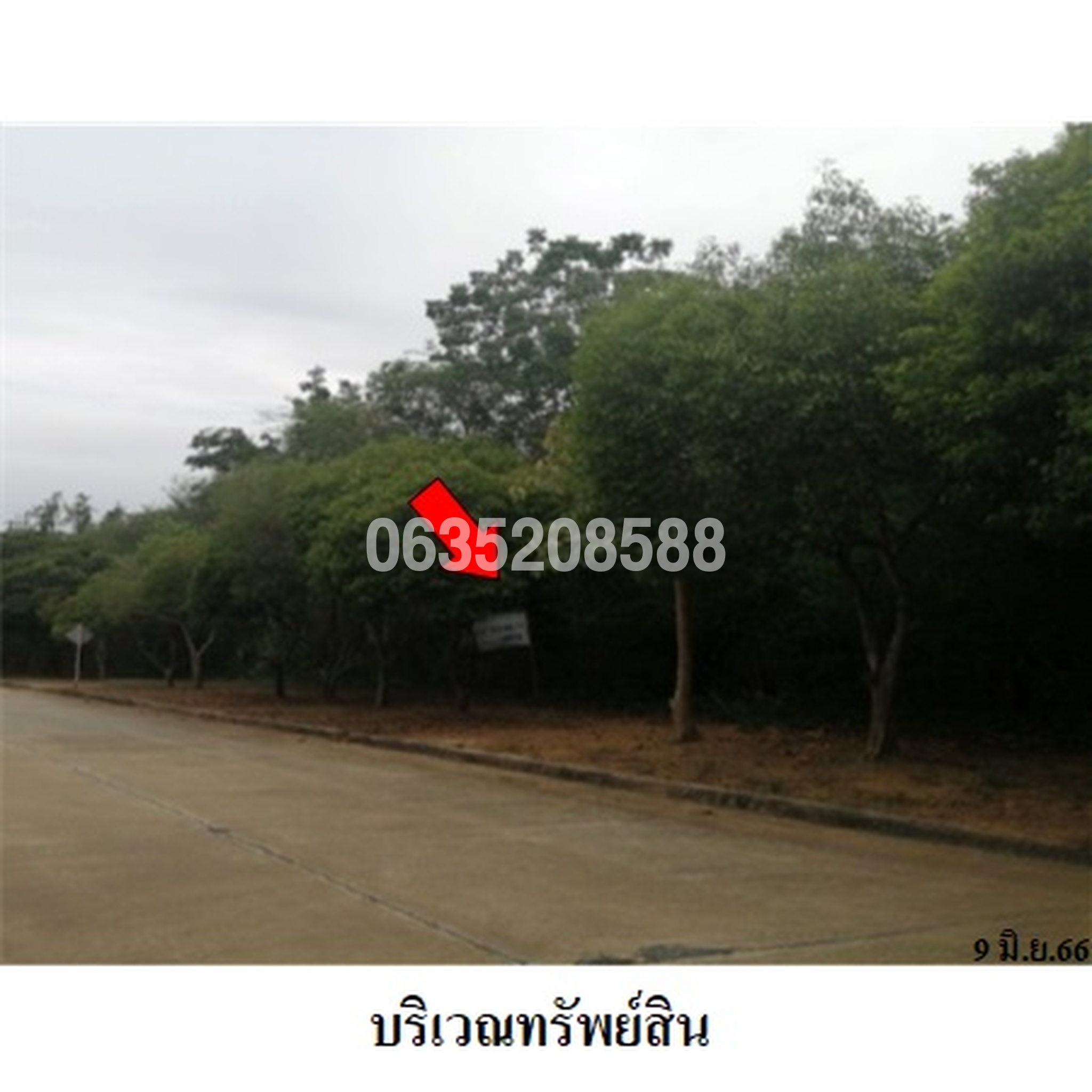 ขายที่ดิน สนามกอล์ฟดราก้อนฮิลล์