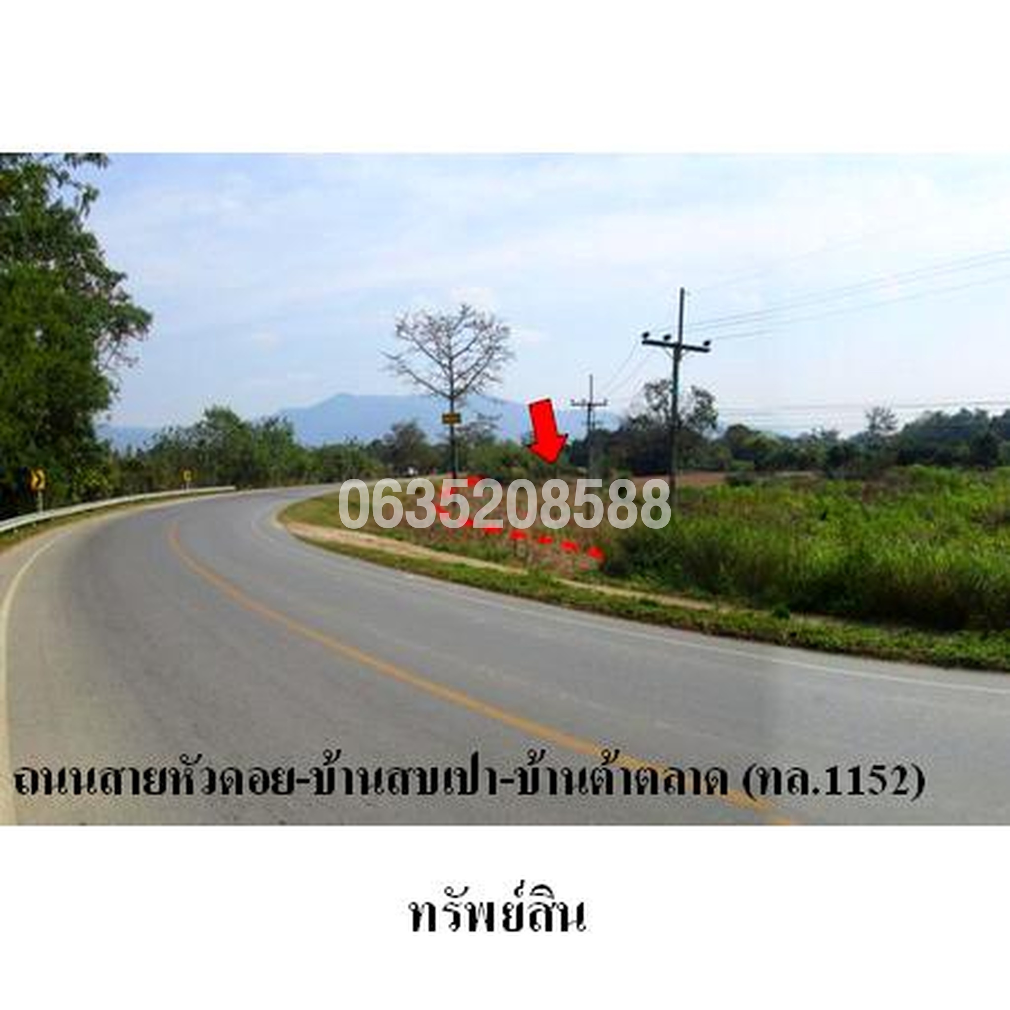 ขายที่ดิน ถนนหัวดอย-บ้านสบเปา-บ้านต้าตลาด (ทล. 1152)