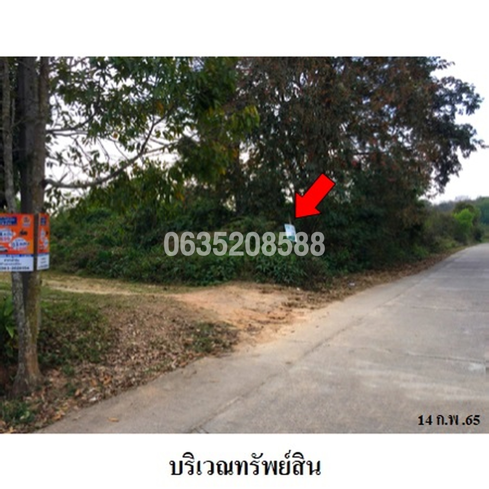 ขายที่ดิน ซอยเสาหิน ซอย 4 ถนนสายฝาง-แม่จัน (ทล.1089)